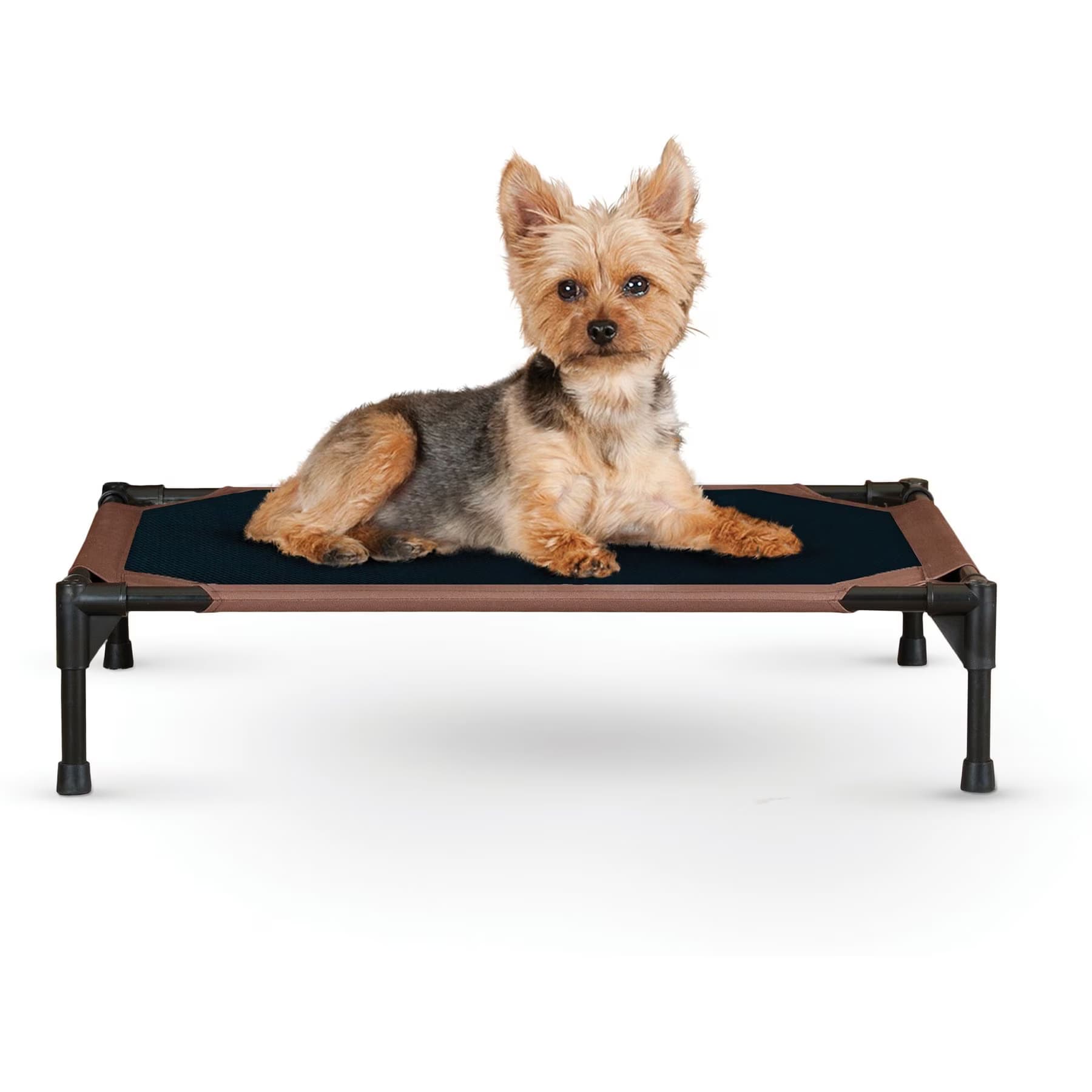 K&H Pet Products K&H Pet Products Original Pet Cot Elevated Dog Bed, Chocolate/Black Mesh, X-Large — Chocolate (disco’d)