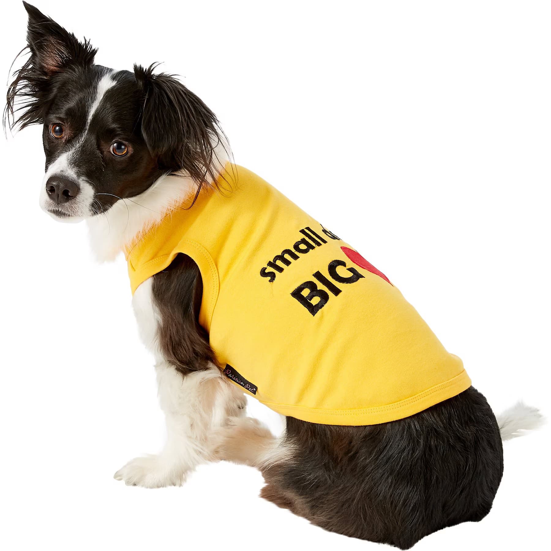 Parisian Pet Parisian Pet Valentine’s Day Small Dog Big Heart Dog T-Shirt, XX-Small