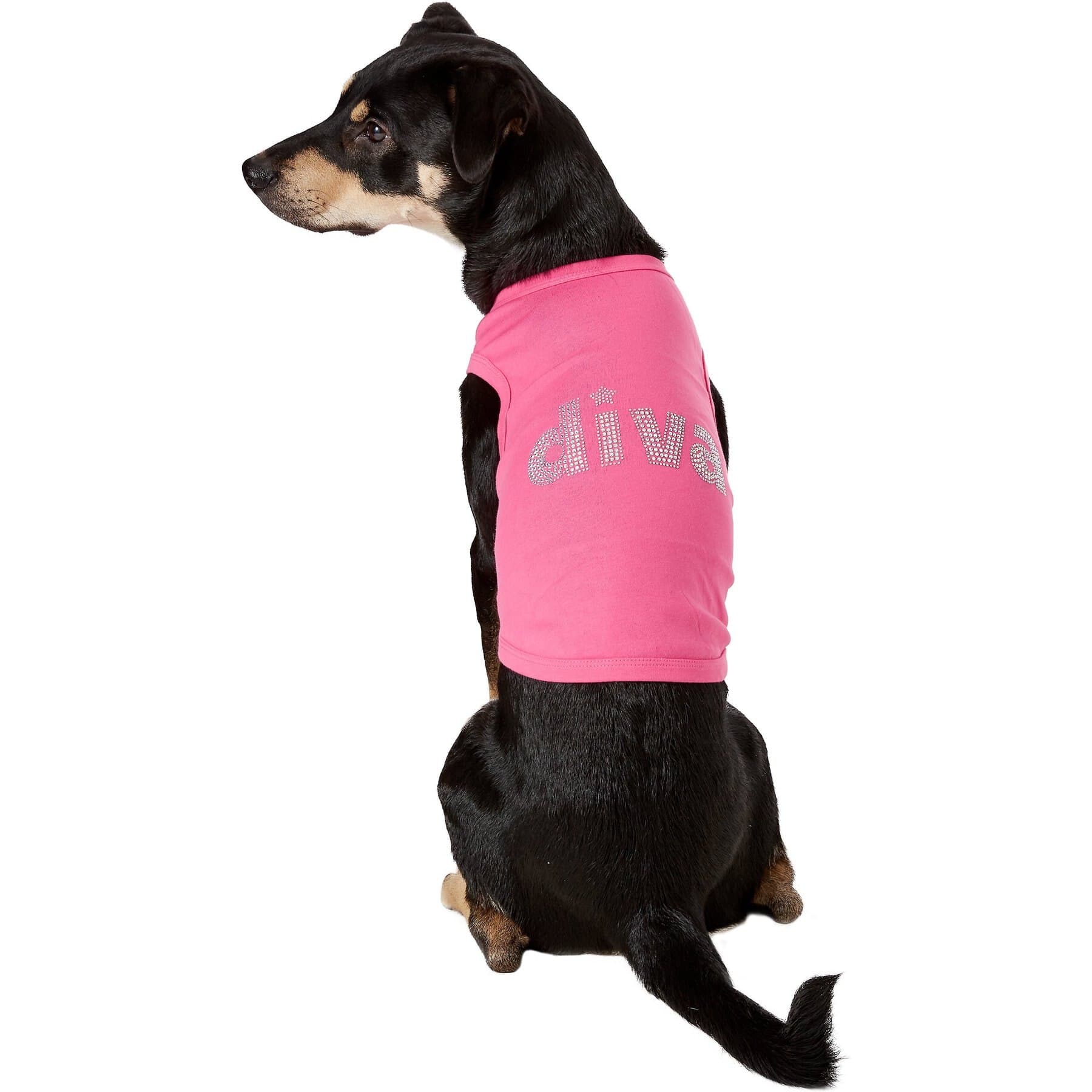 Parisian Pet Parisian Pet Diva Dog & Cat T-Shirt, XX-Large