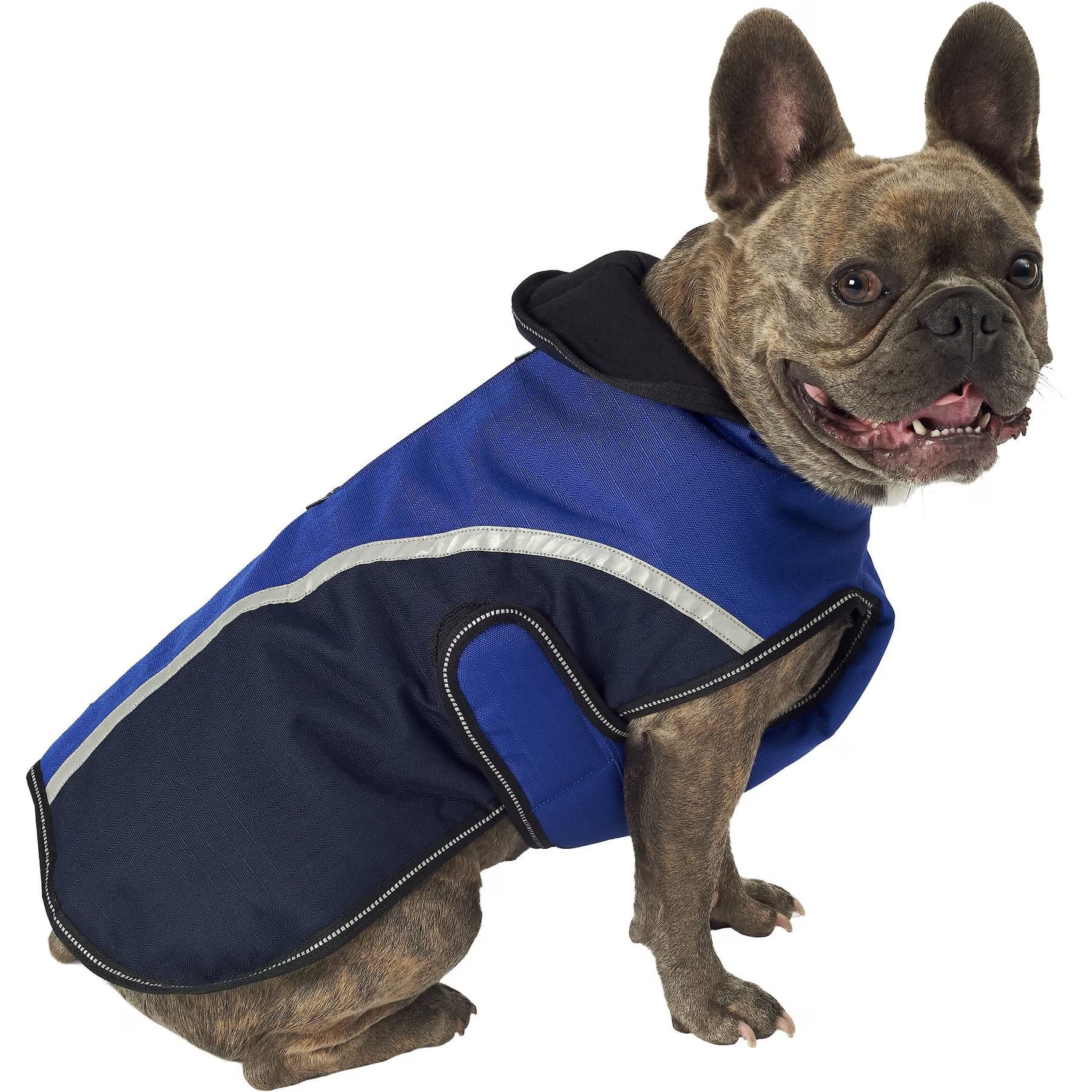 PetRageous Designs PetRageous Designs Calgary Insulated Dog Jacket, Navy, XX-Large