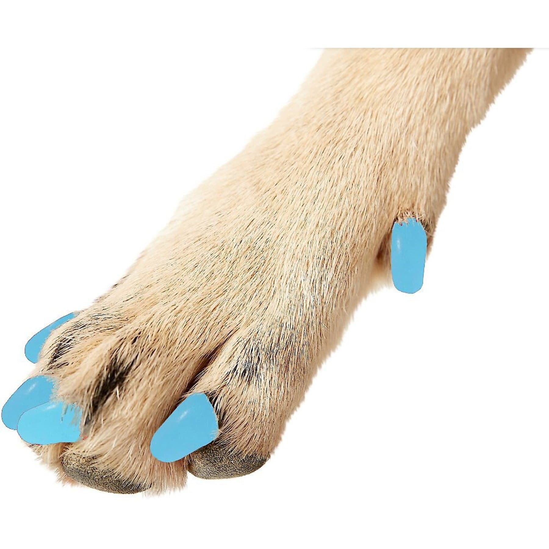 Purrdy Paws Purrdy Paws Soft Dog Nail Caps, Sky Blue, XX-Large