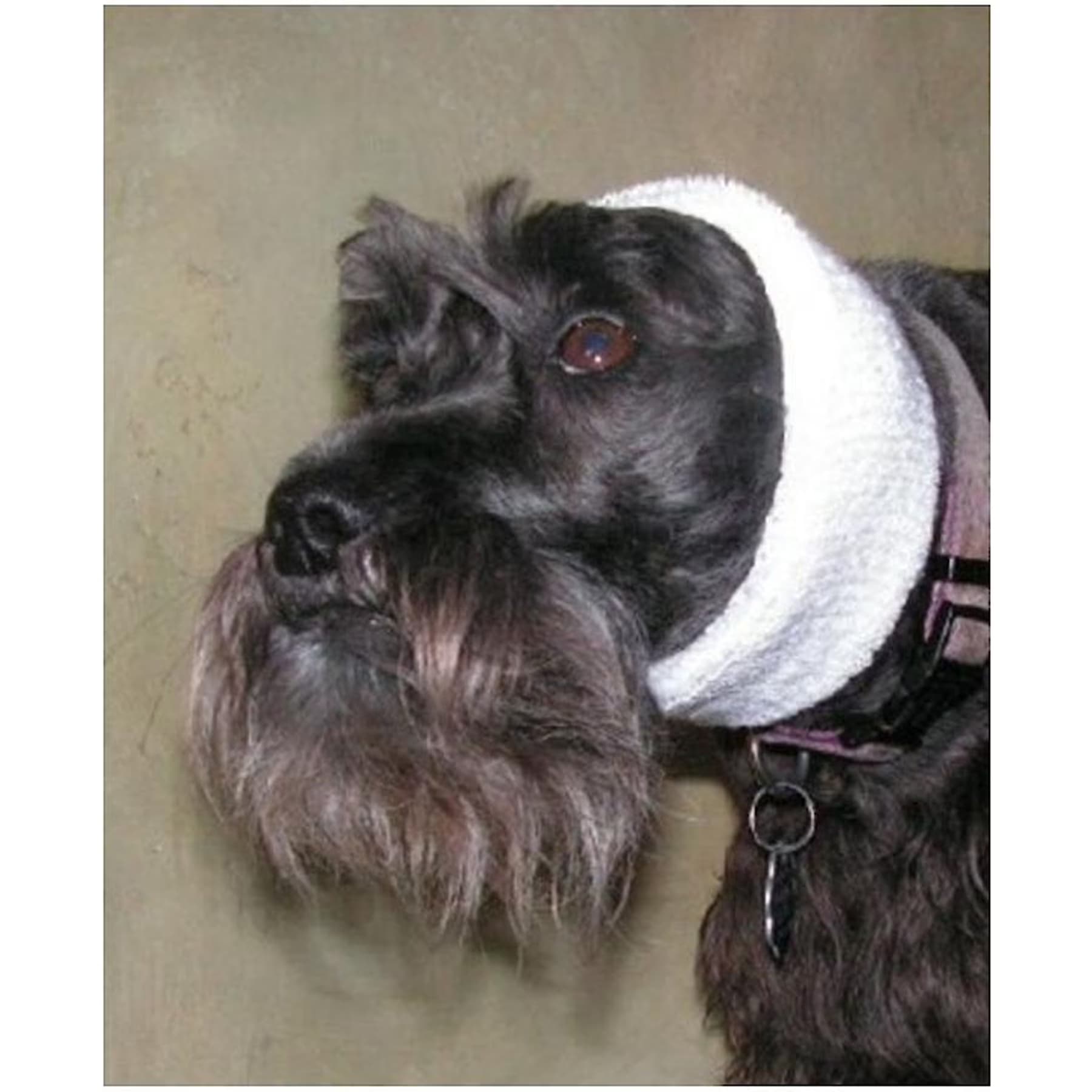 Happy Hoodie Happy Hoodie Calming Cap for Dogs, White, Small