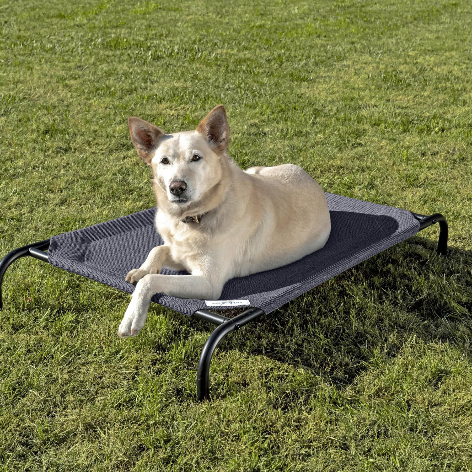 Coolaroo Coolaroo Steel-Framed Elevated Dog Bed, Navy Blue, Medium