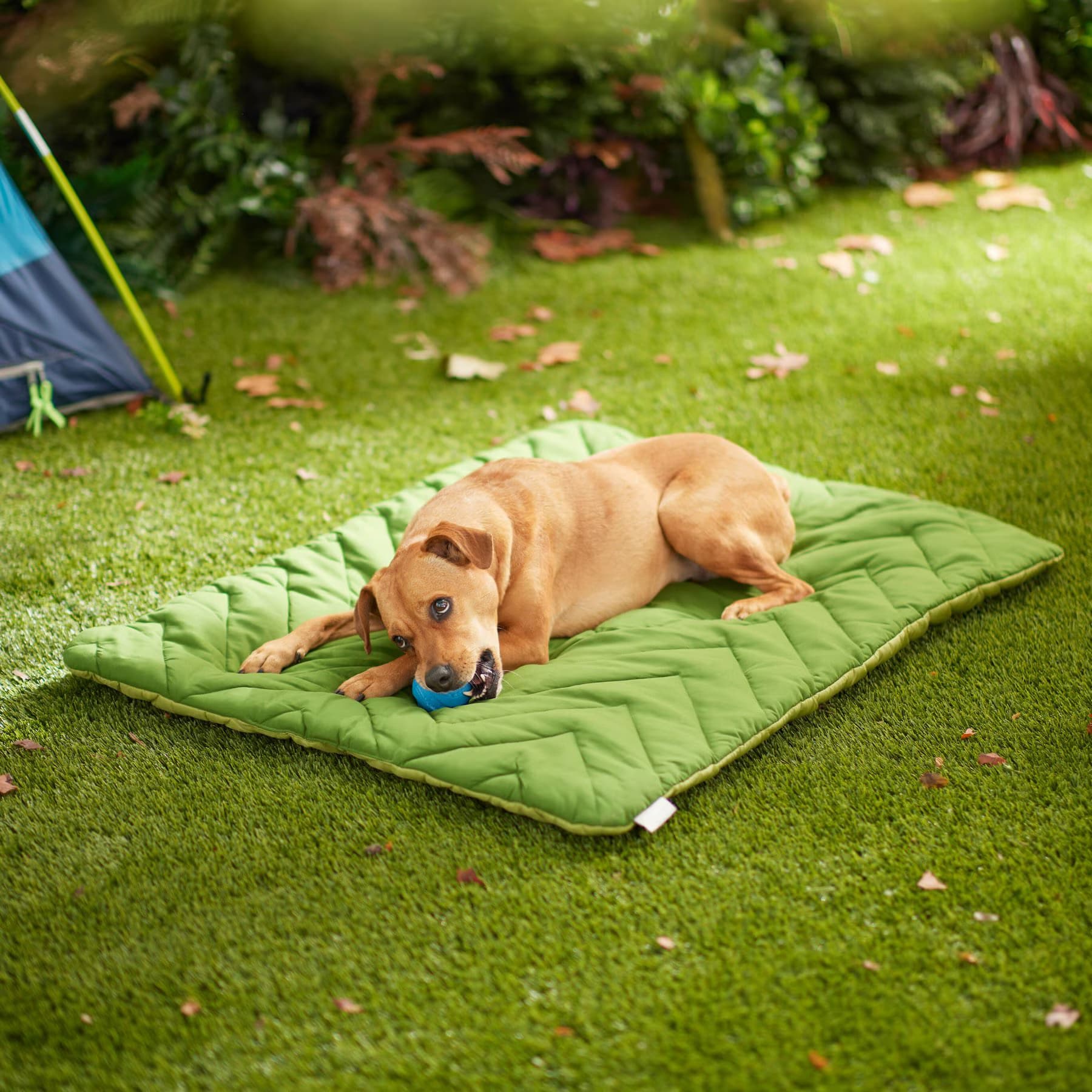 Frisco Frisco Travel Pillow Dog Mat Bed with Reusable Storage Bag, Green, X-Large