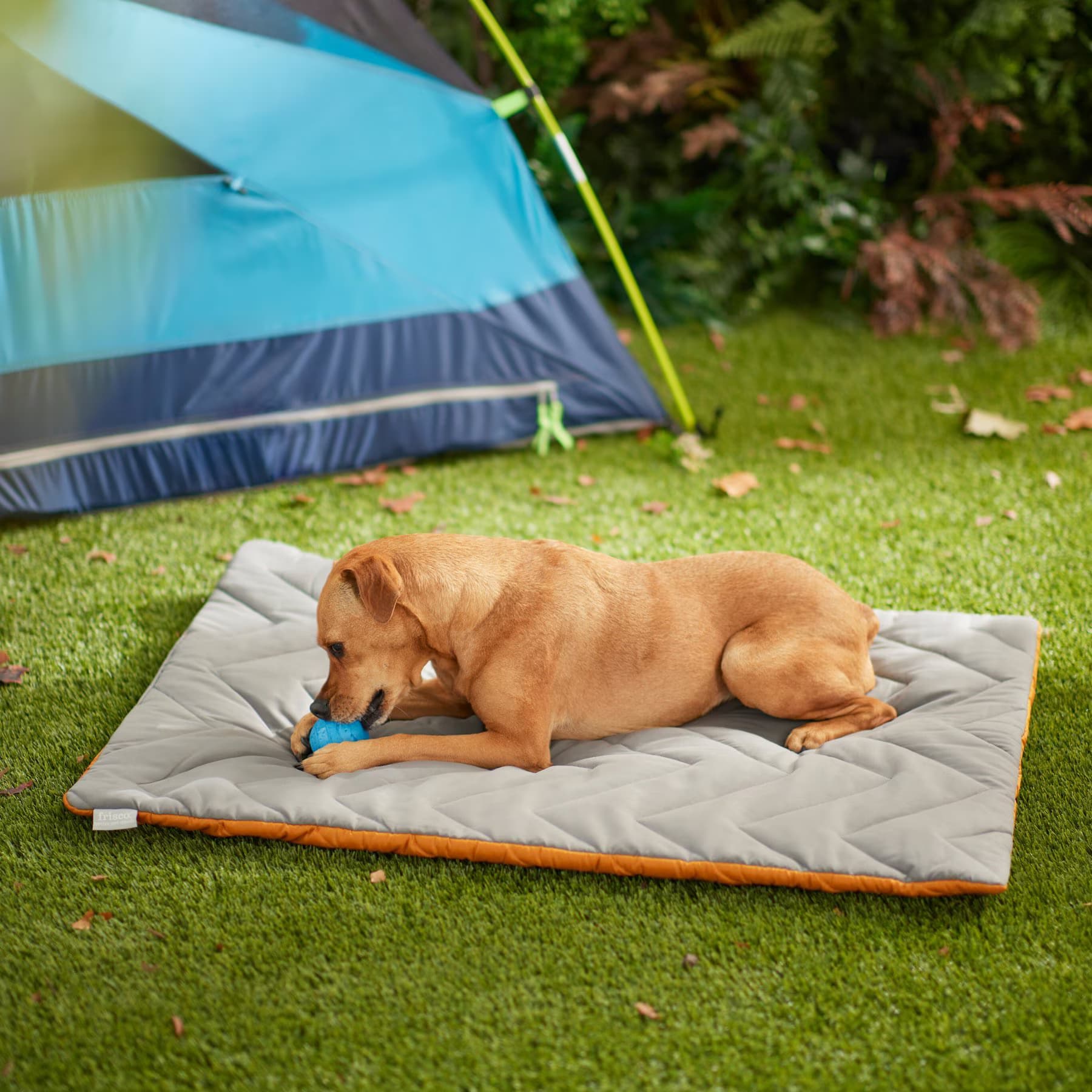 Frisco Frisco Travel Pillow Dog Mat Bed with Reusable Storage Bag, Orange, X-Large