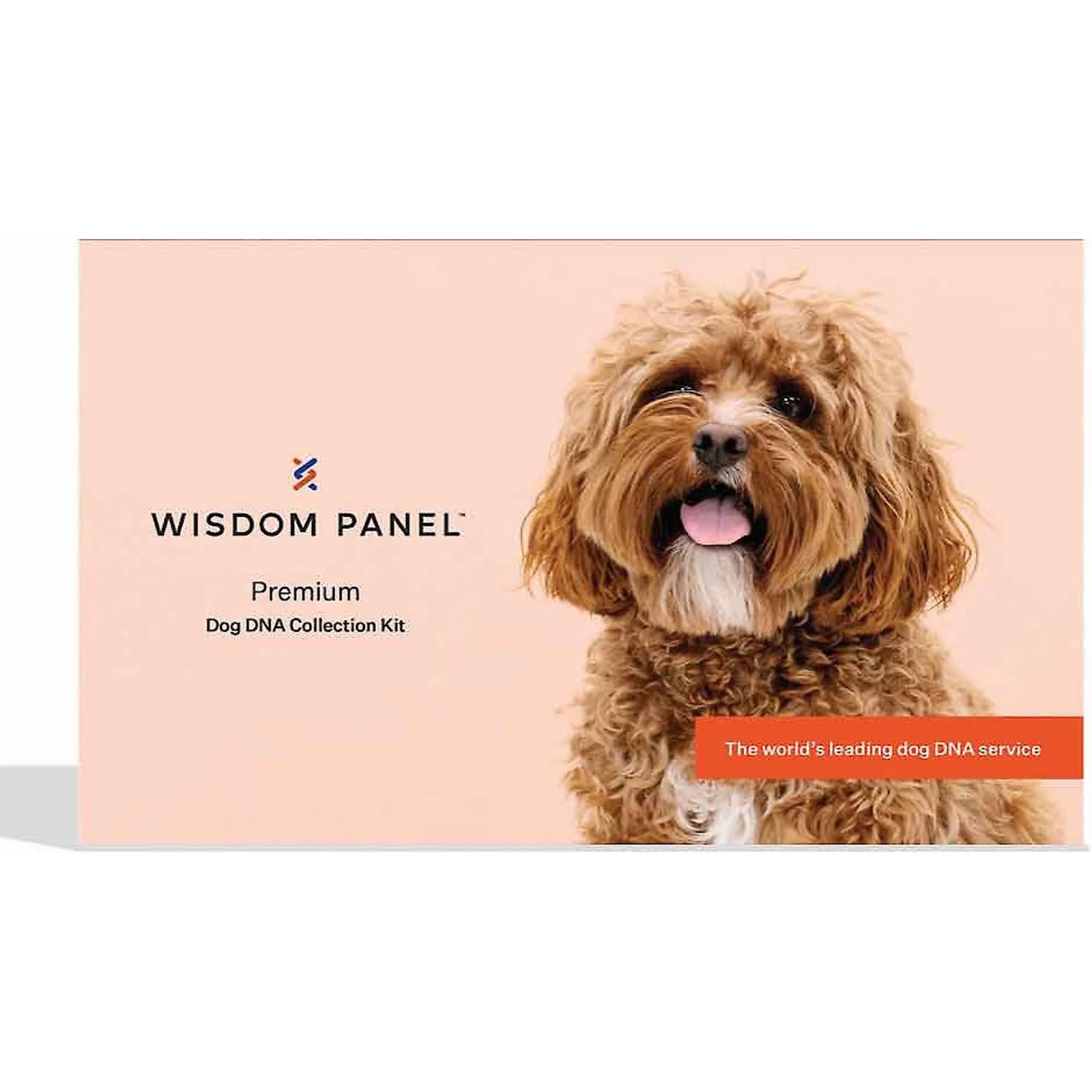 Wisdom Panel Wisdom Panel Premium Breed Identification & Health Condition Identification DNA Test for Dogs — Breed + Extensive Health Insights