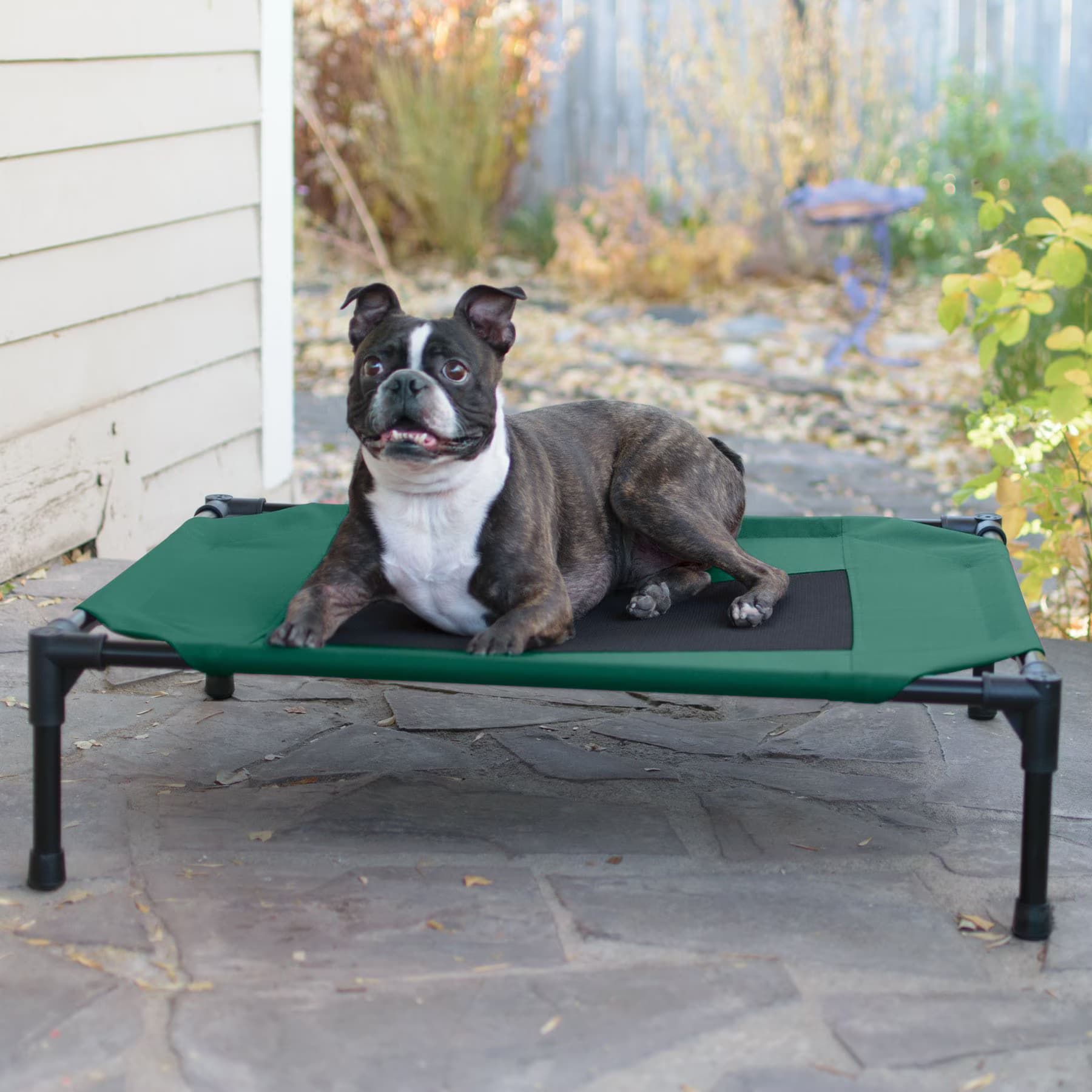 K&H Pet Products K&H Pet Products Original Steel Frame Cot Outdoor Elevated Dog Bed, Green/Black, X-Large