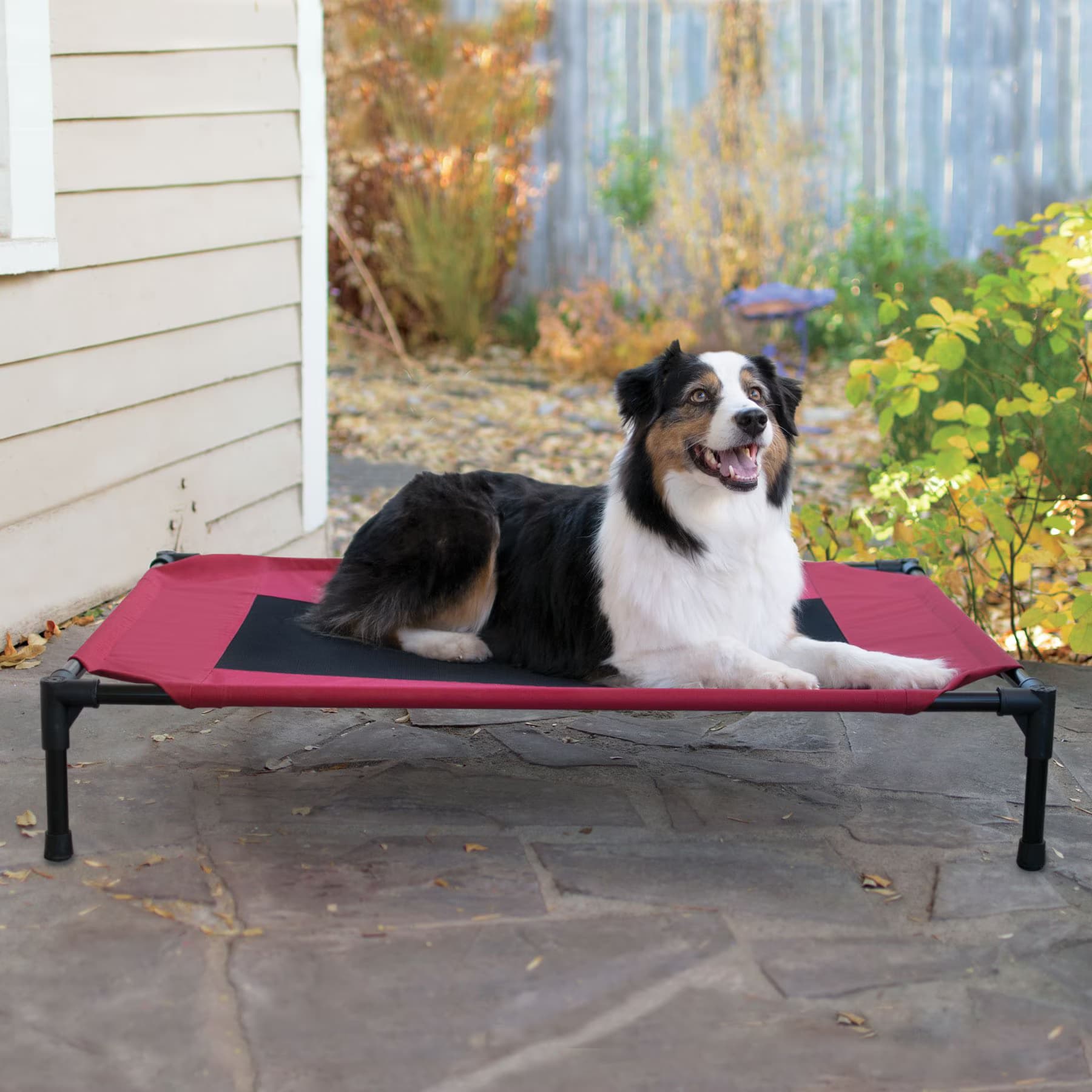 K&H Pet Products K&H Pet Products Original Steel Frame Pet Cot Elevated Dog Bed, Red/Black, X-Large