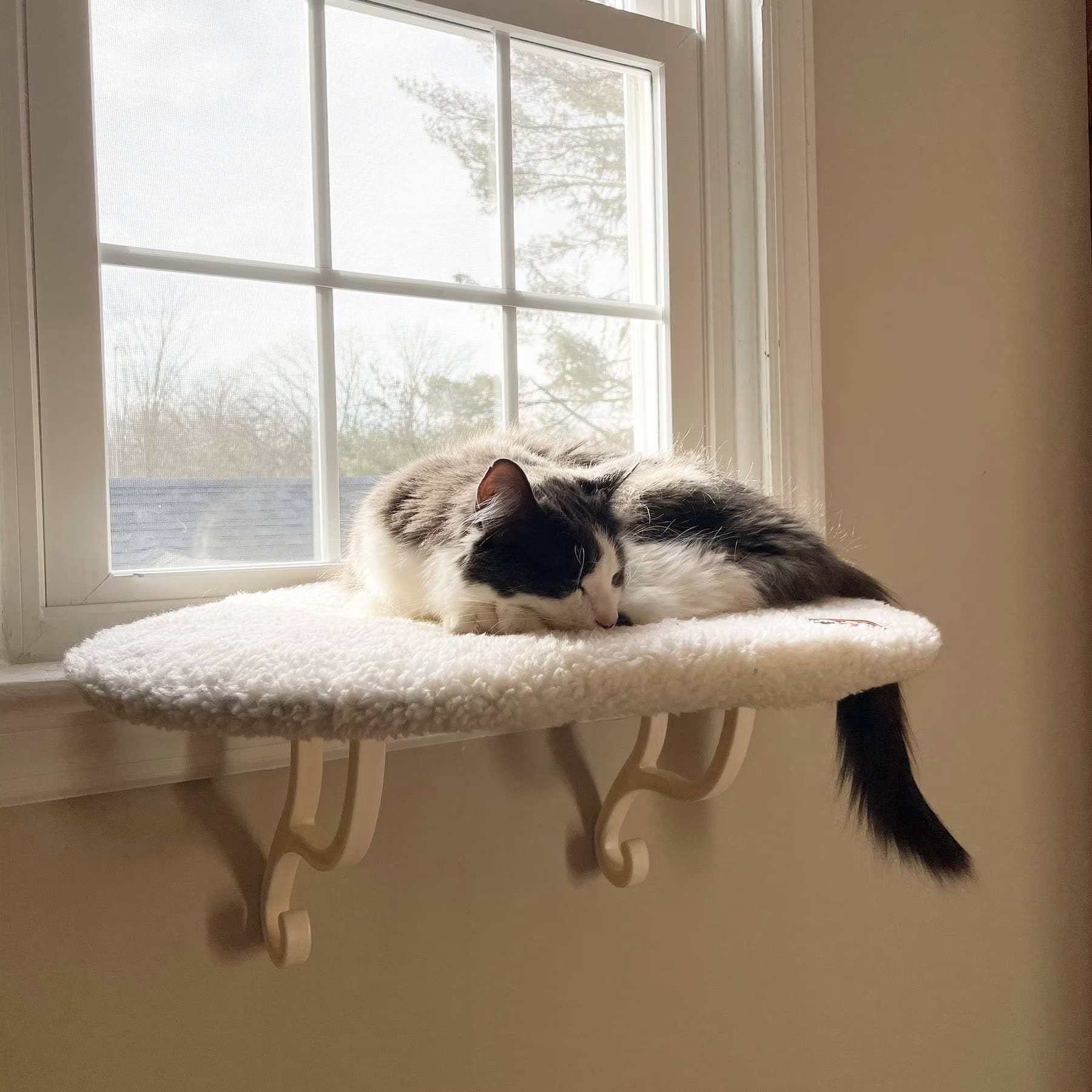 K&H Pet Products K&H Pet Products Kitty Sill Cat Window Perch, Tan