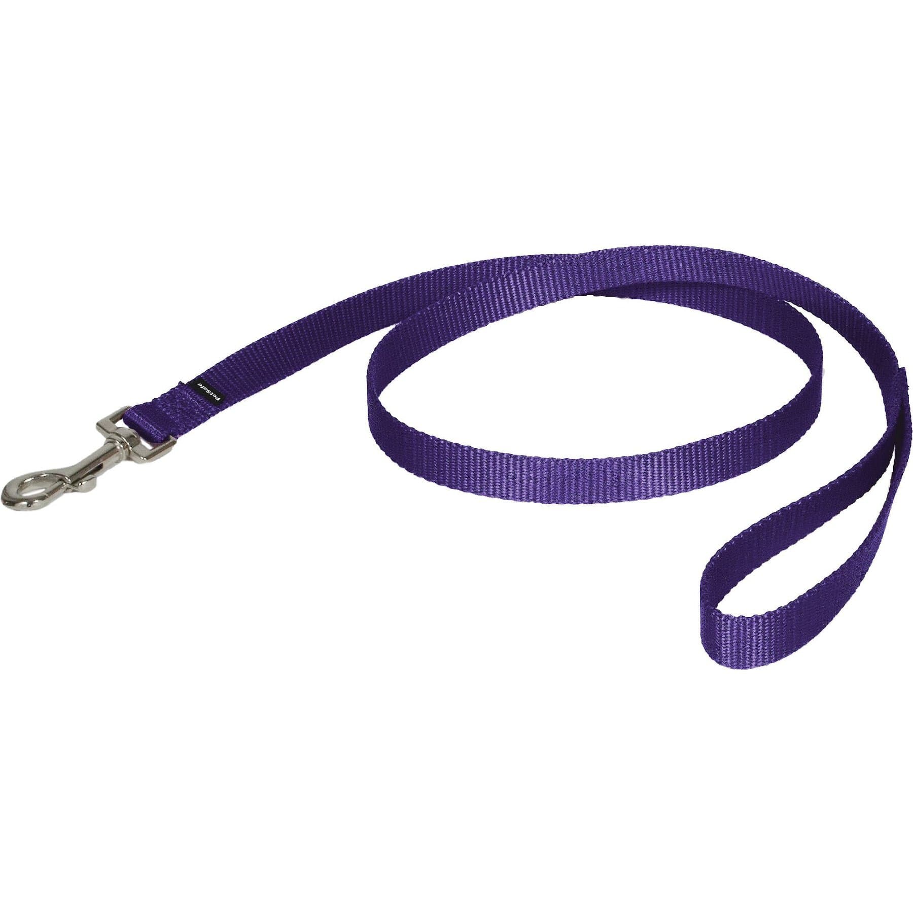PetSafe PetSafe Nylon Dog Leash, Purple, 6-ft long, 3/4-in wide