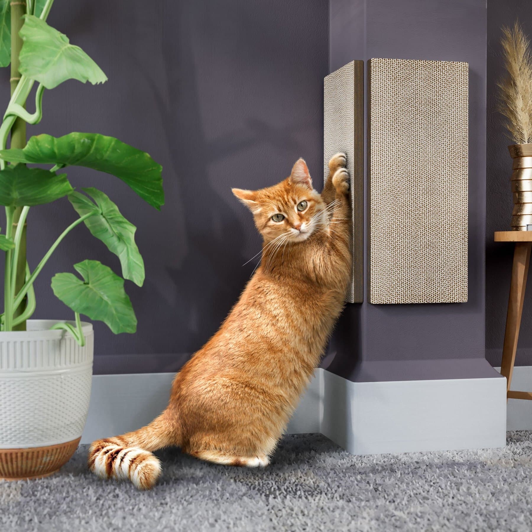 Way Basics Way Basics Eco zBoard Corner Wall Cat Scratching Pad, Royal Walnut, Medium