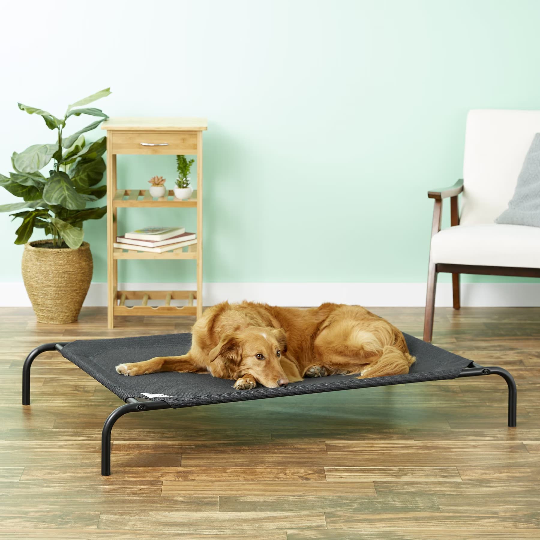 Coolaroo Coolaroo Steel-Framed Elevated Pet Bed, Charcoal, Medium