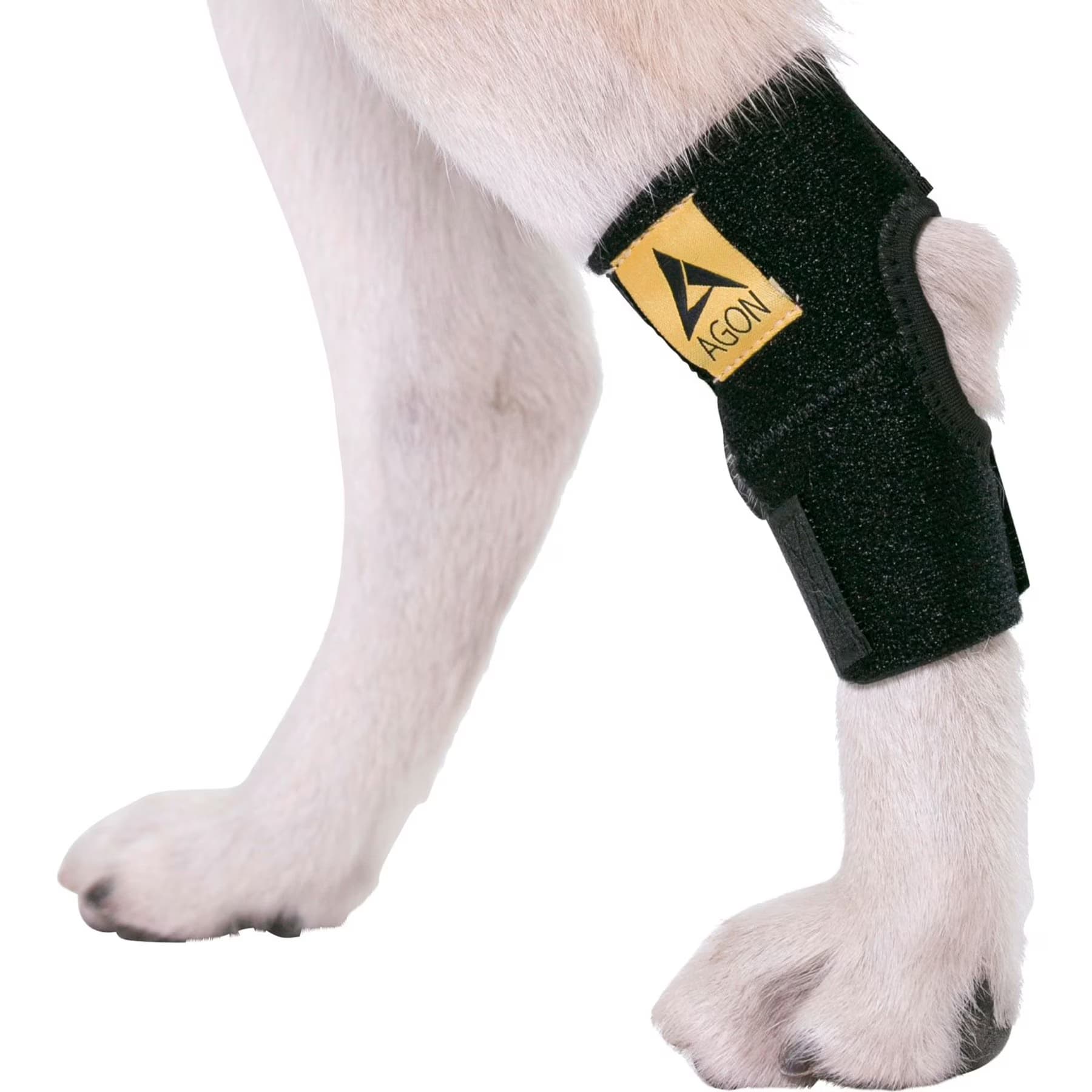 Agon Rear Leg Dog Brace, X-Large — view 5