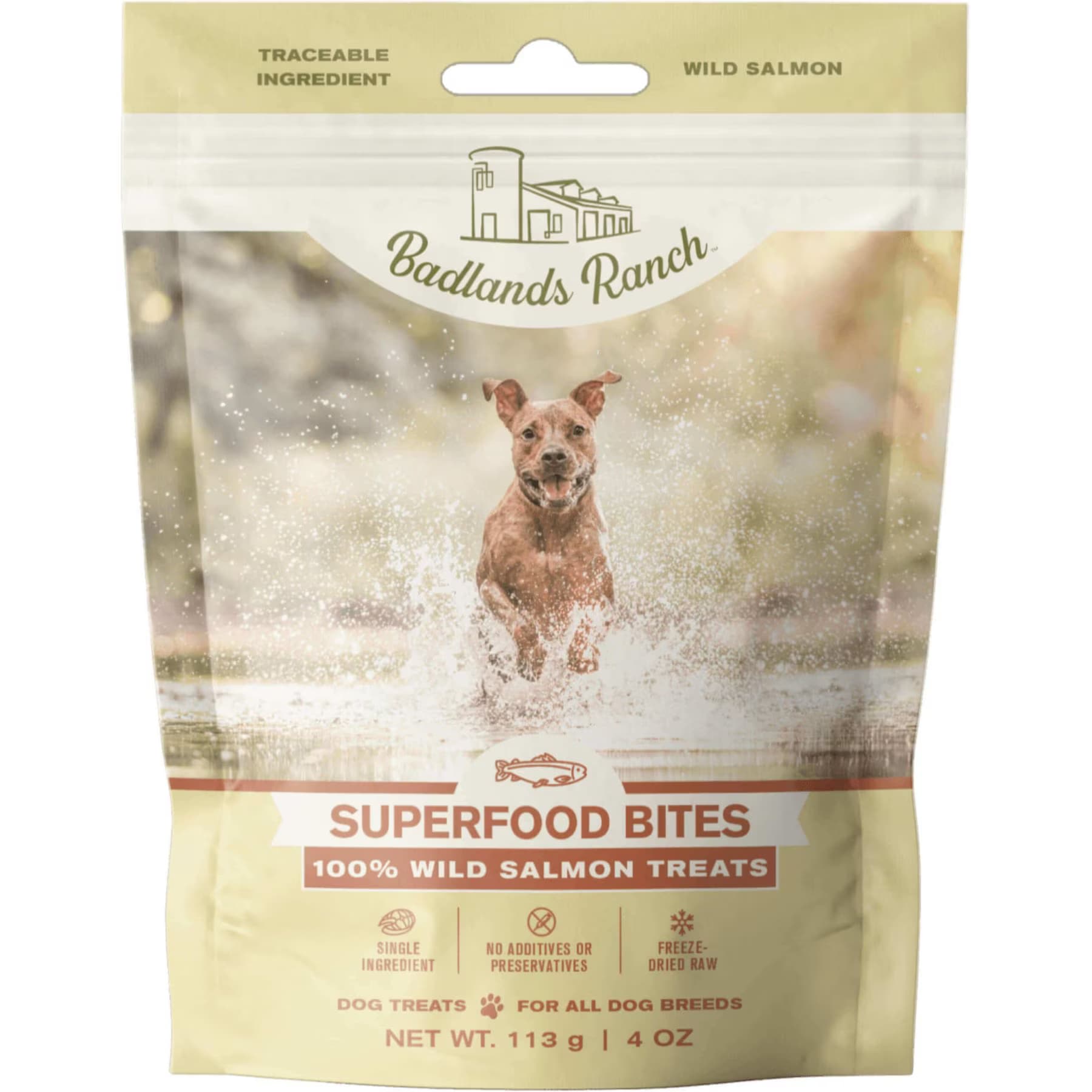 Badlands Ranch Badlands Ranch Salmon Grain-Free Freeze-Dried Raw Dog Treats