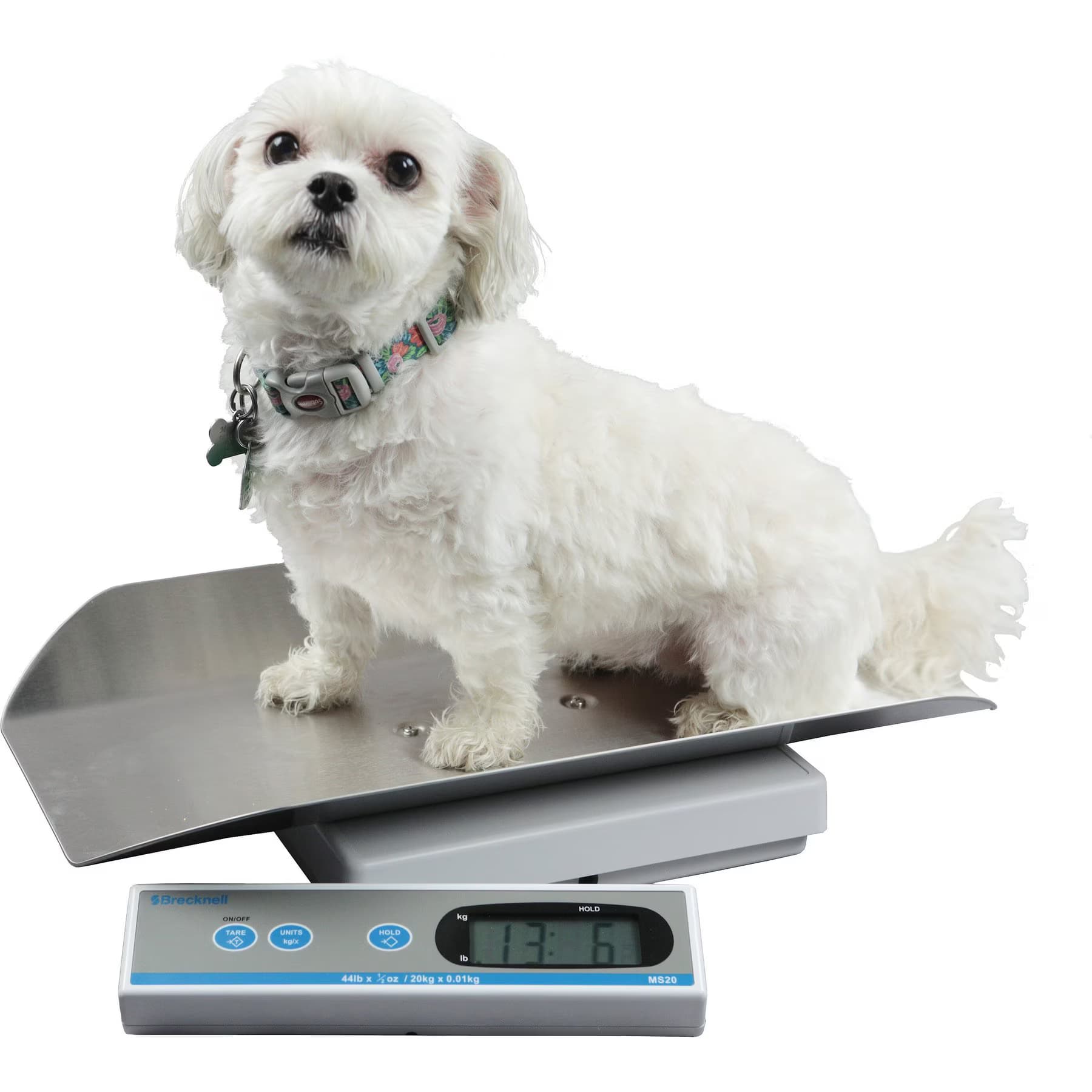 Brecknell Brecknell MS20S Digital Pet Scale