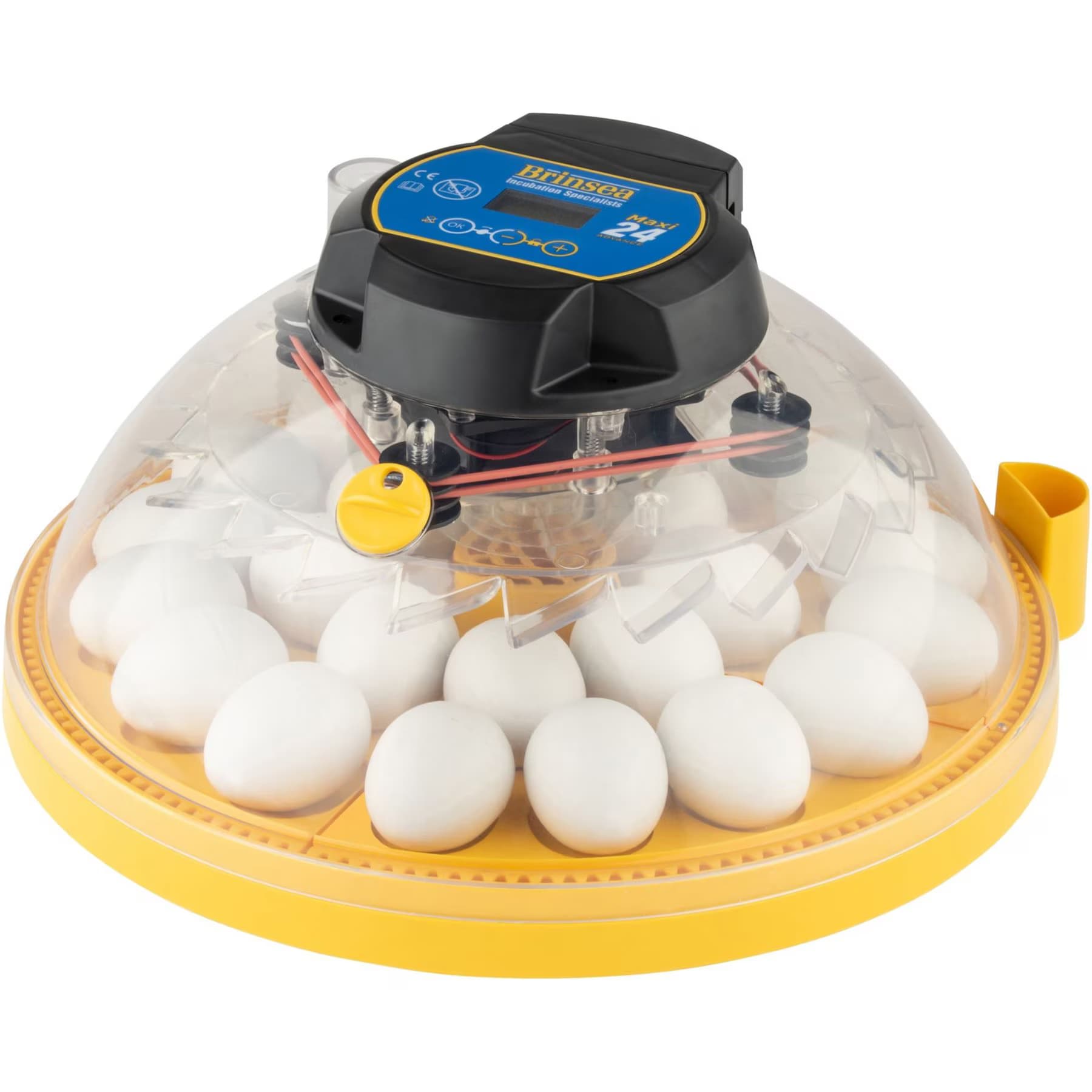 Brinsea Brinsea Maxi 24 Advance Automatic 24 Egg Incubator, Yellow