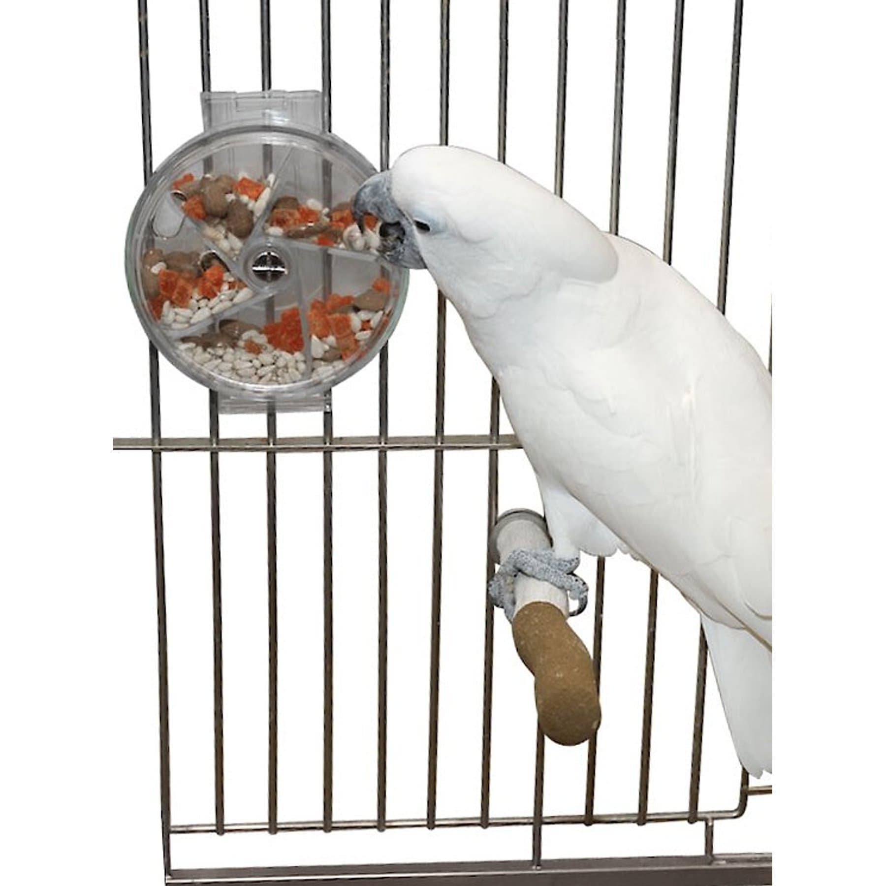 Caitec Caitec Featherland Paradise Foraging Wheel Bird Toy