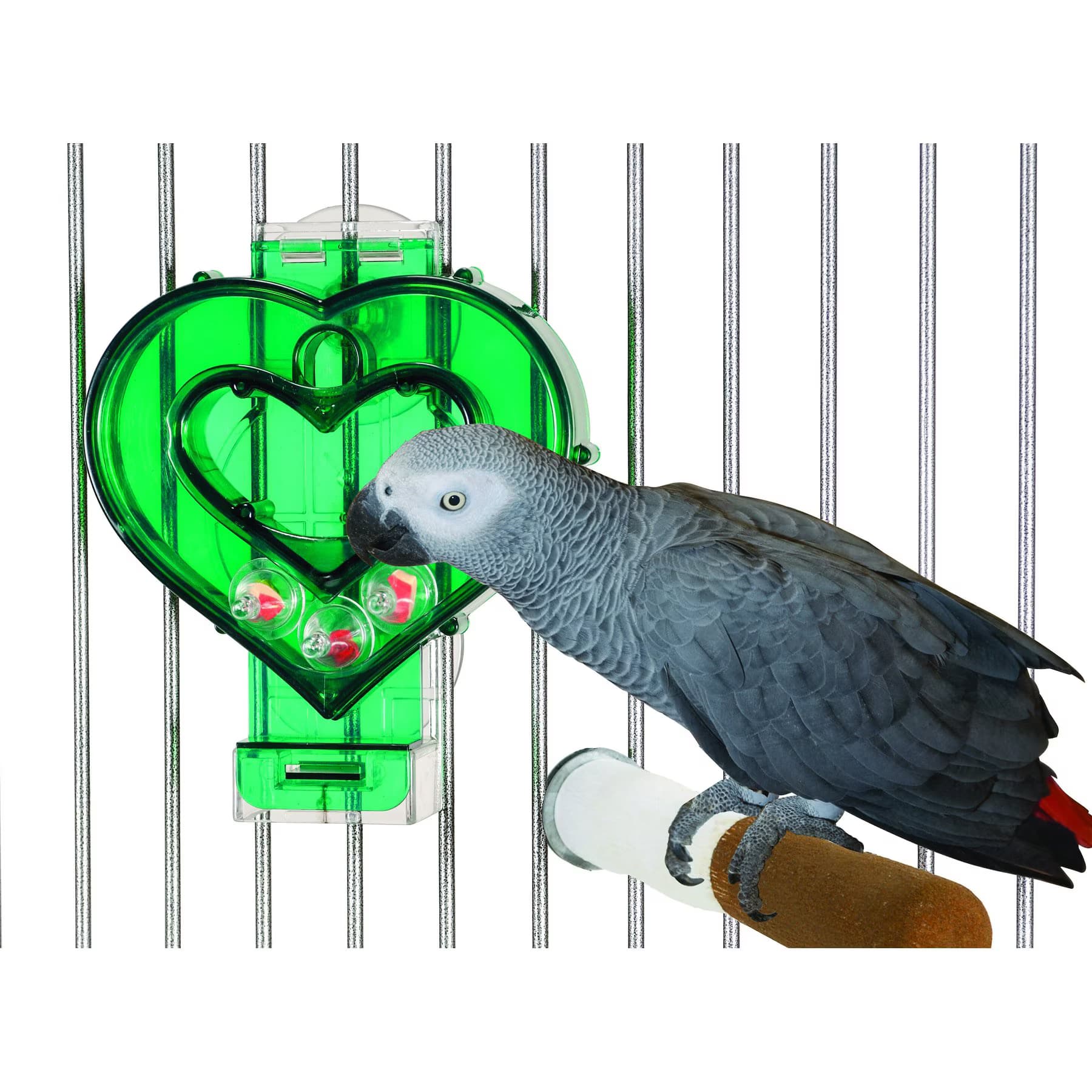 Caitec Caitec Featherland Paradise Mastermind Heart Bird Toy