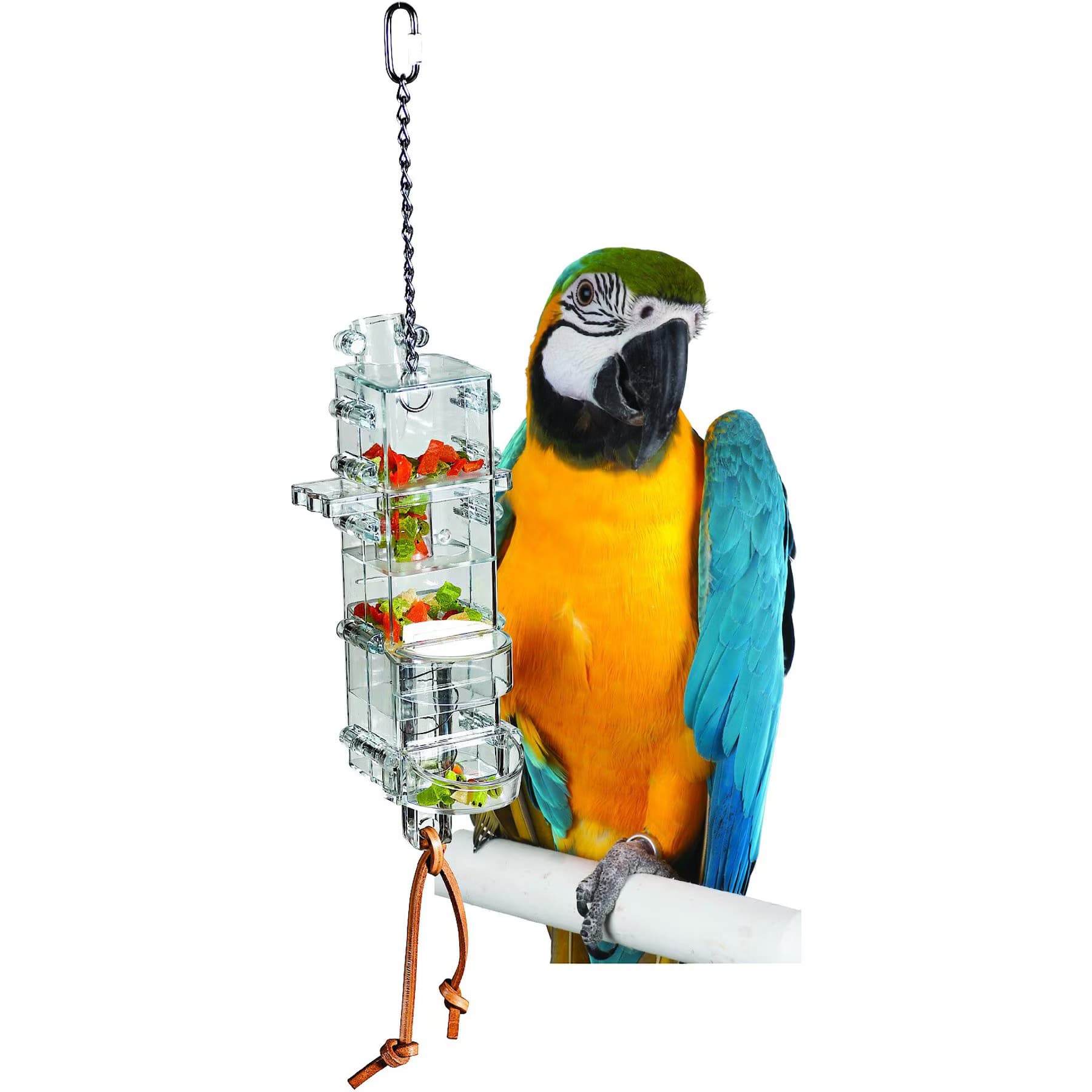 Caitec Caitec Featherland Paradise Tug ‘N Slide Tower Bird Toy