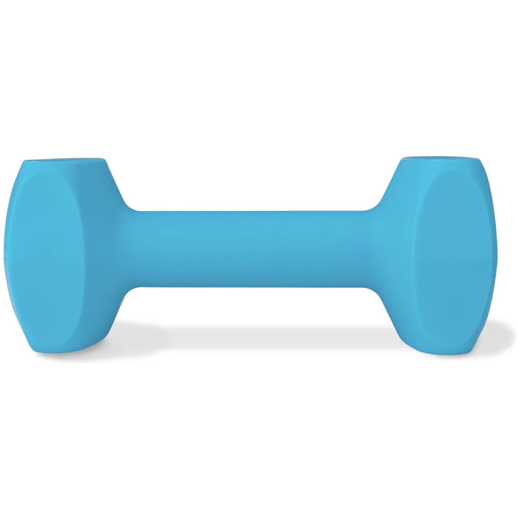 Coachi Coachi Dumbbell Dog Training Tool, Light Blue, Large