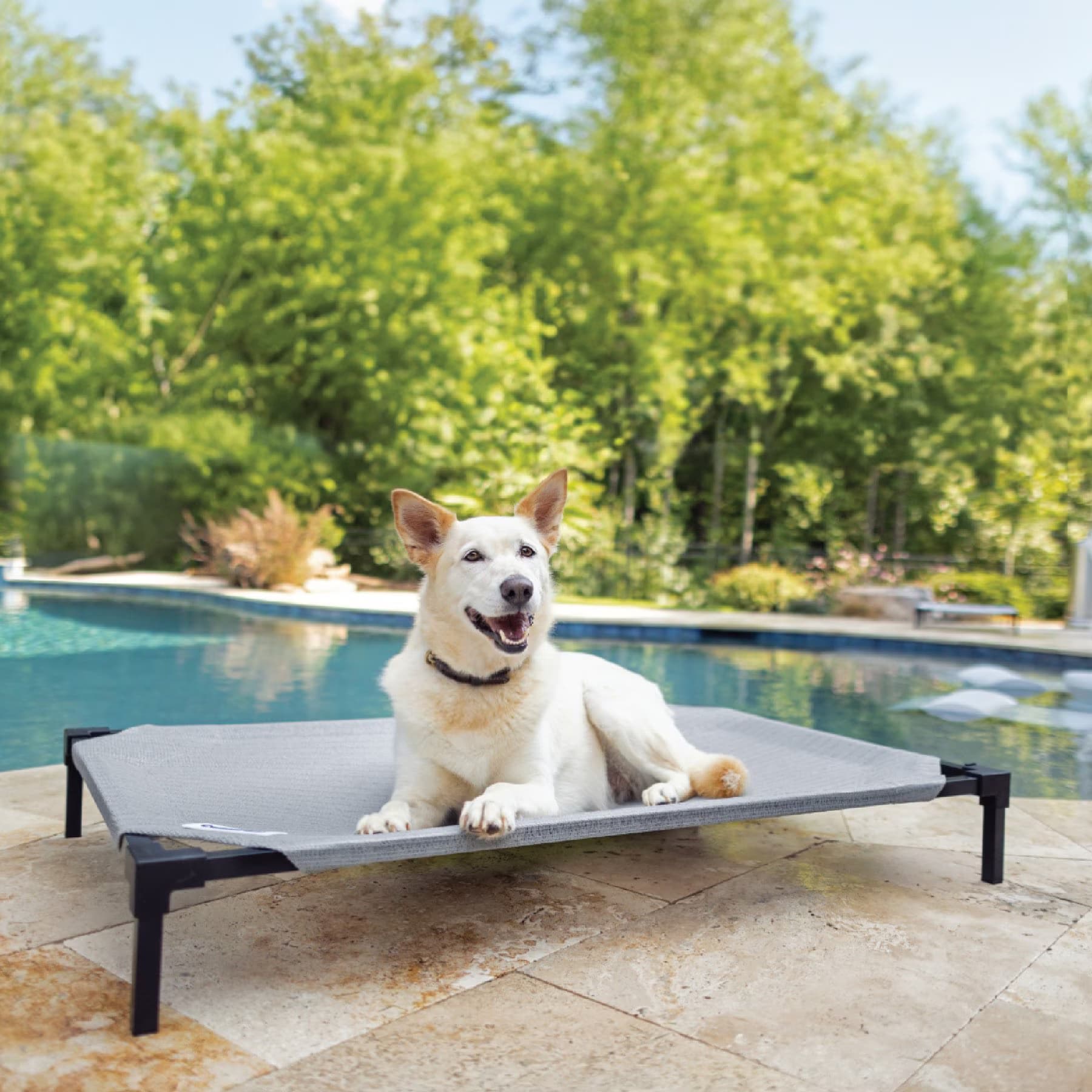Coolaroo Coolaroo HeatShield Cooling Fabric Elevated Dog Bed, Glacier Grey, Medium