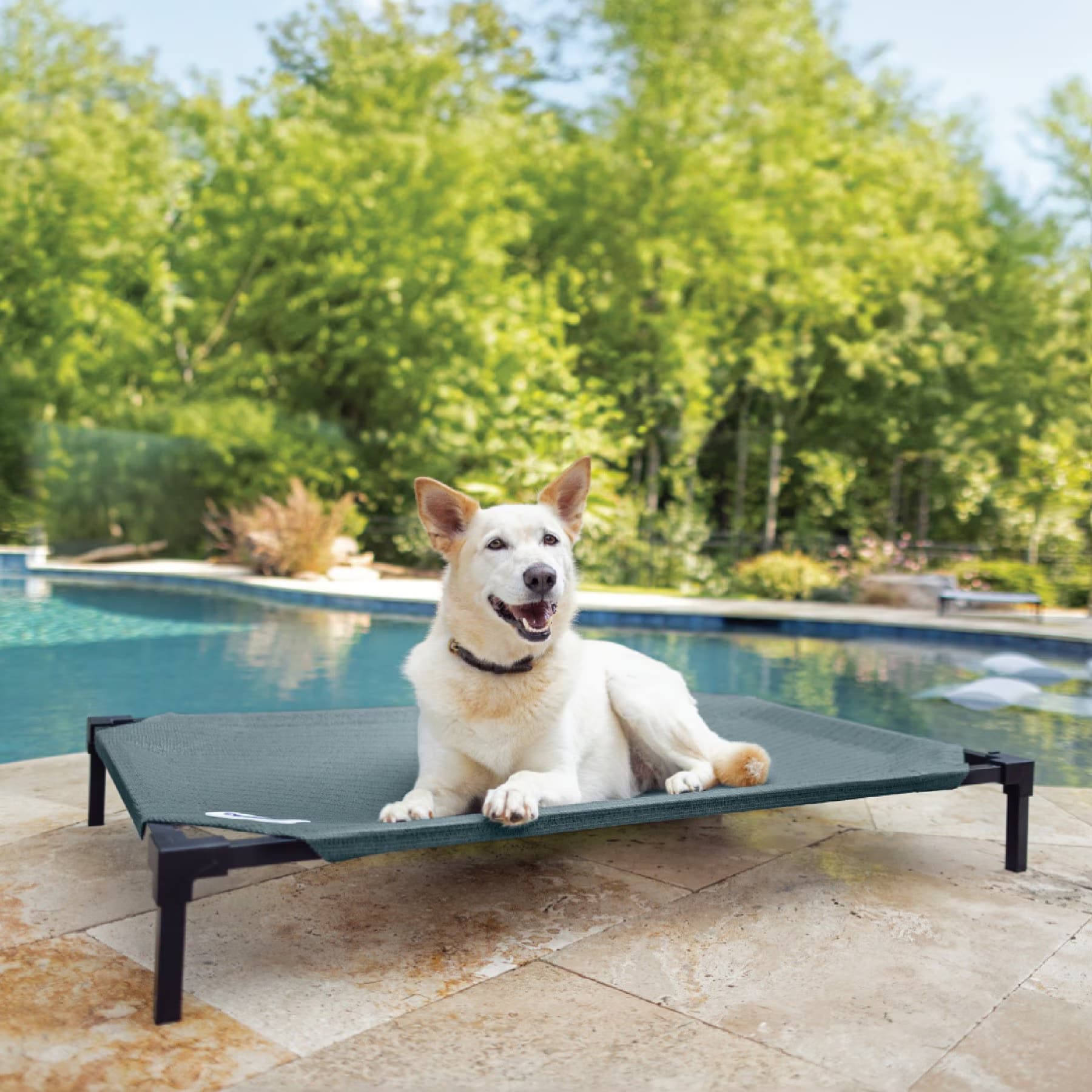 Coolaroo Coolaroo HeatShield Cooling Fabric Elevated Dog Bed, Pacific Crest Blue, Medium