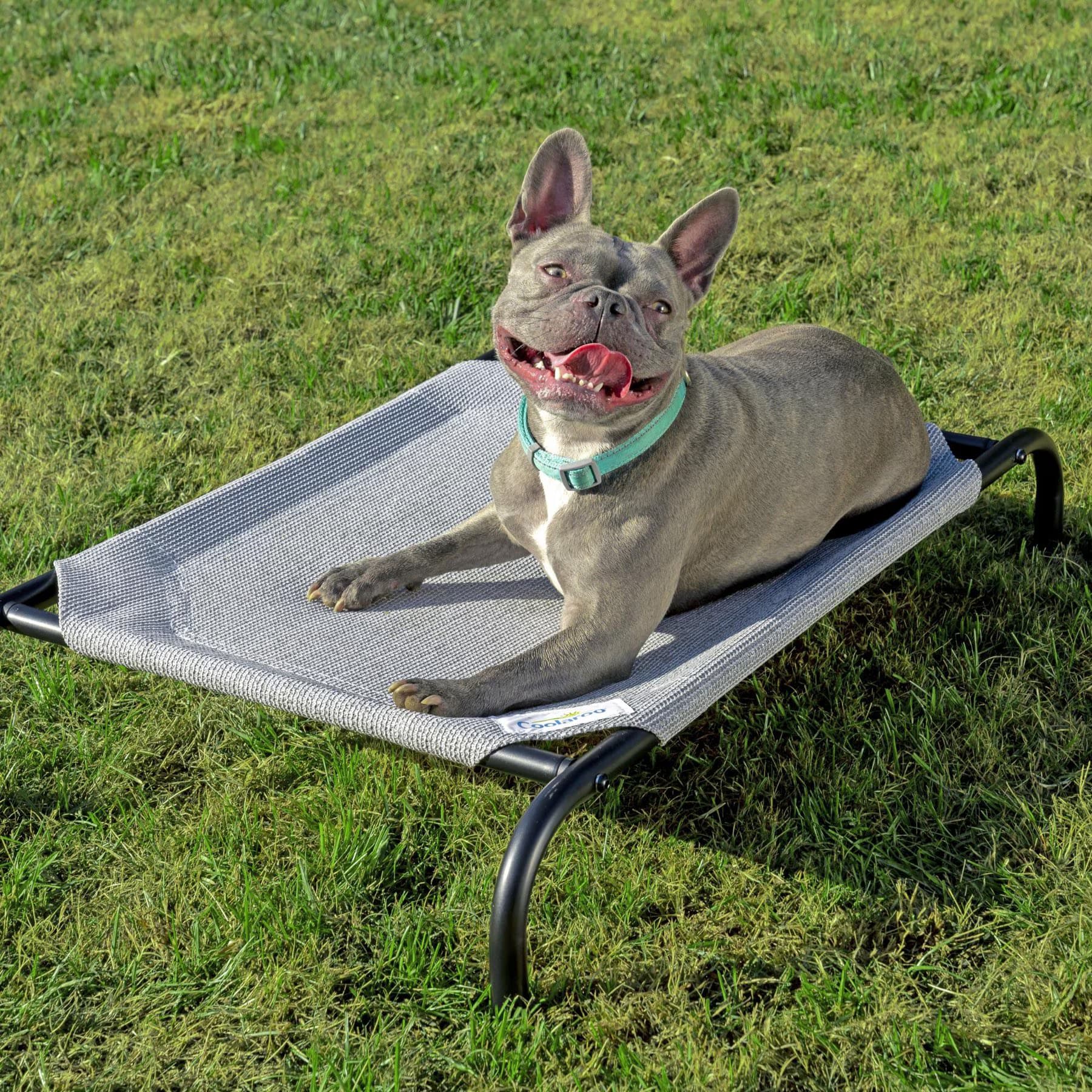 Coolaroo Steel-Framed Elevated Dog Bed, Grey, X-Large — view 2