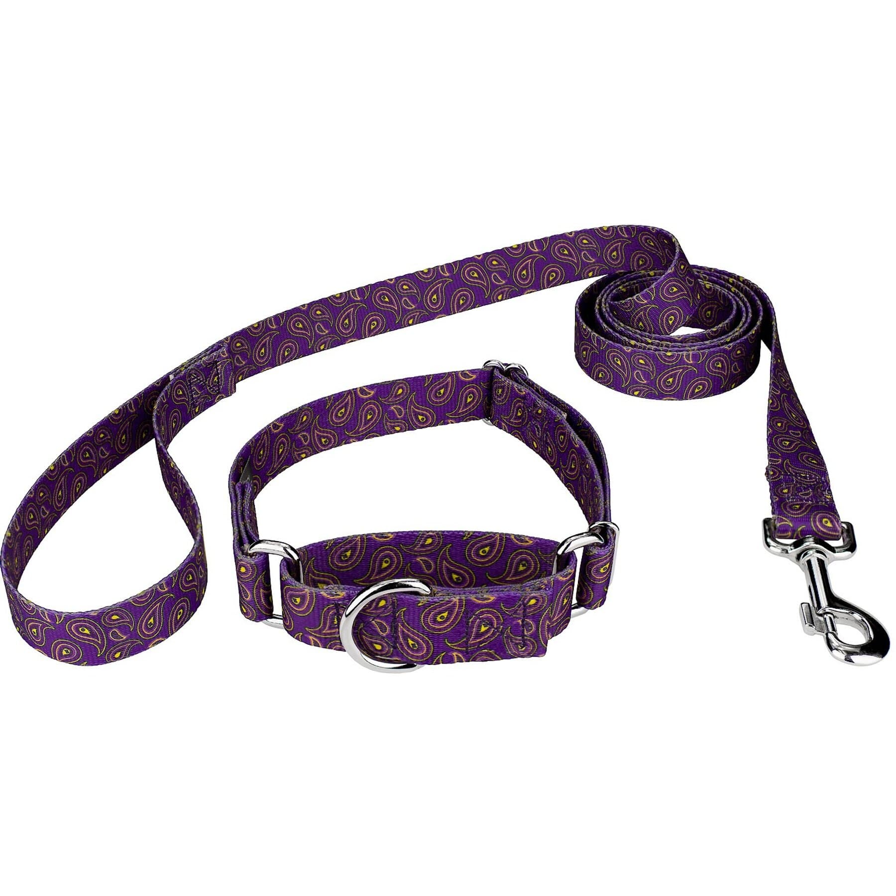 Country Brook Design Paisley Polyester Martingale Dog Collar & Leash, Purple, Small: 11 to 15-in neck, 5/8-in wide — view 3
