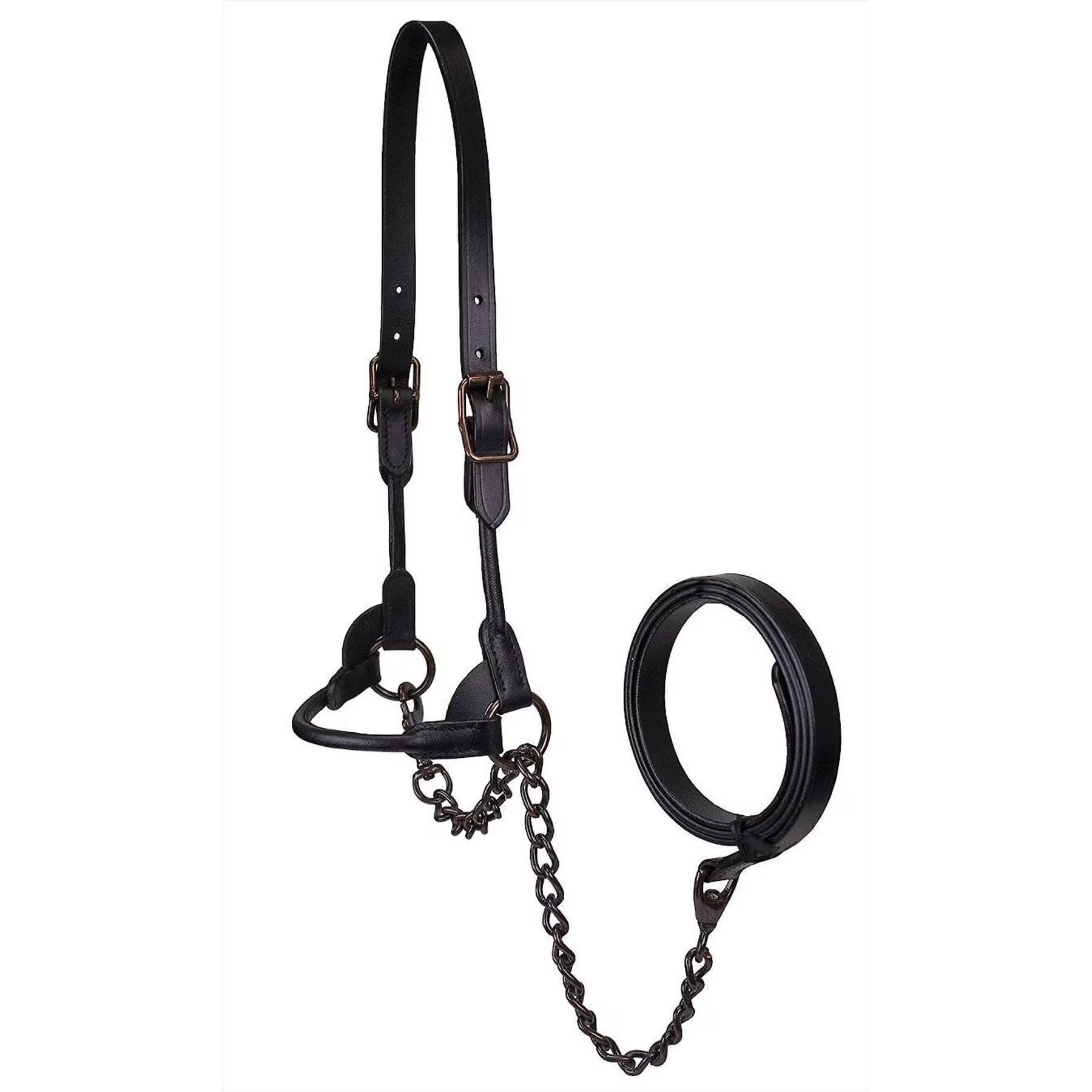 Derby Originals Bronze Beauty Premium Round Rolled Leather Cattle Show Halter & Chain Lead, Black, Medium — view 3