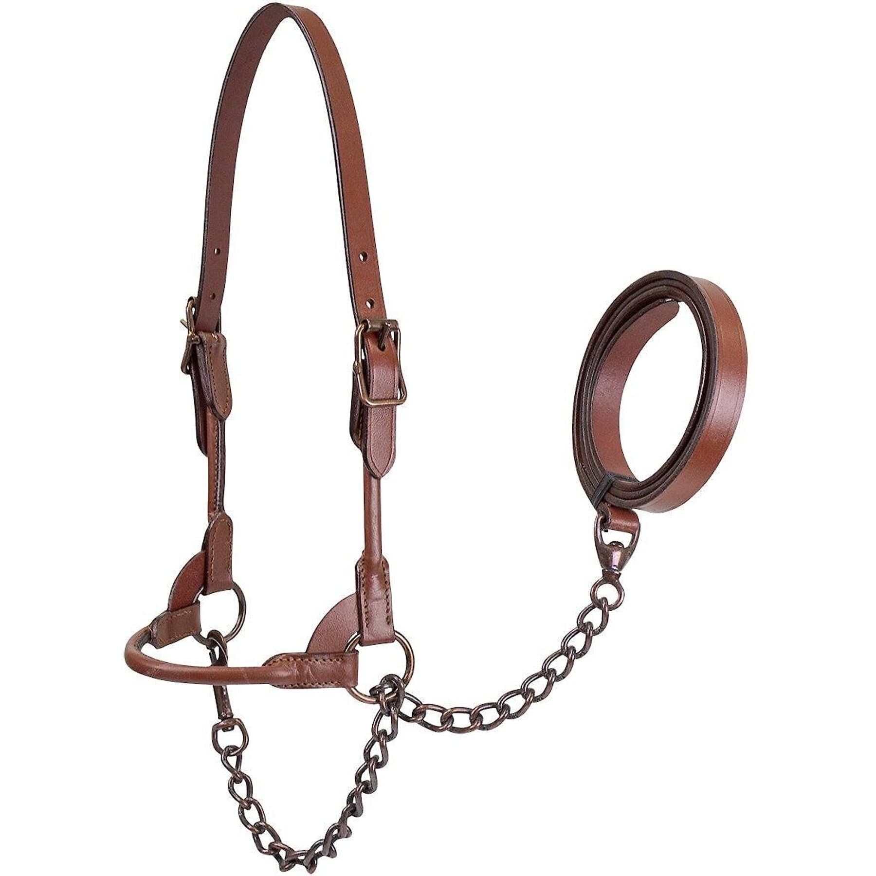 Derby Originals Bronze Beauty Premium Round Rolled Leather Cattle Show Halter & Chain Lead, Chestnut, Medium — view 3