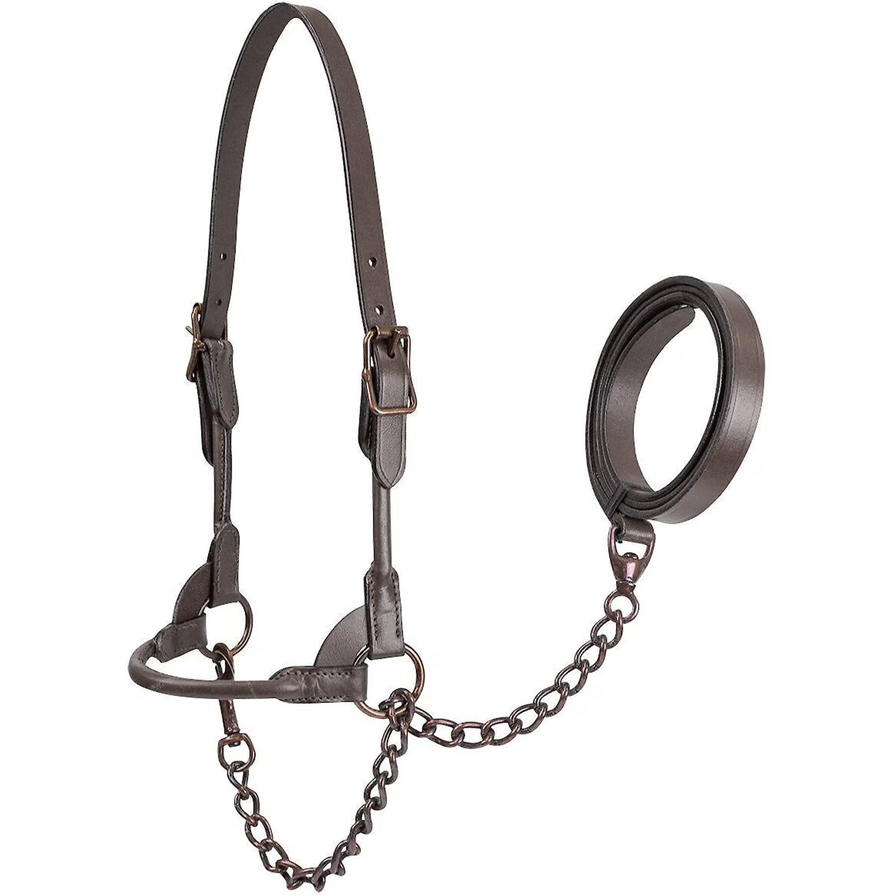 Derby Originals Derby Originals Bronze Beauty Premium Round Rolled Leather Cattle Show Halter & Chain Lead, Havana, Medium