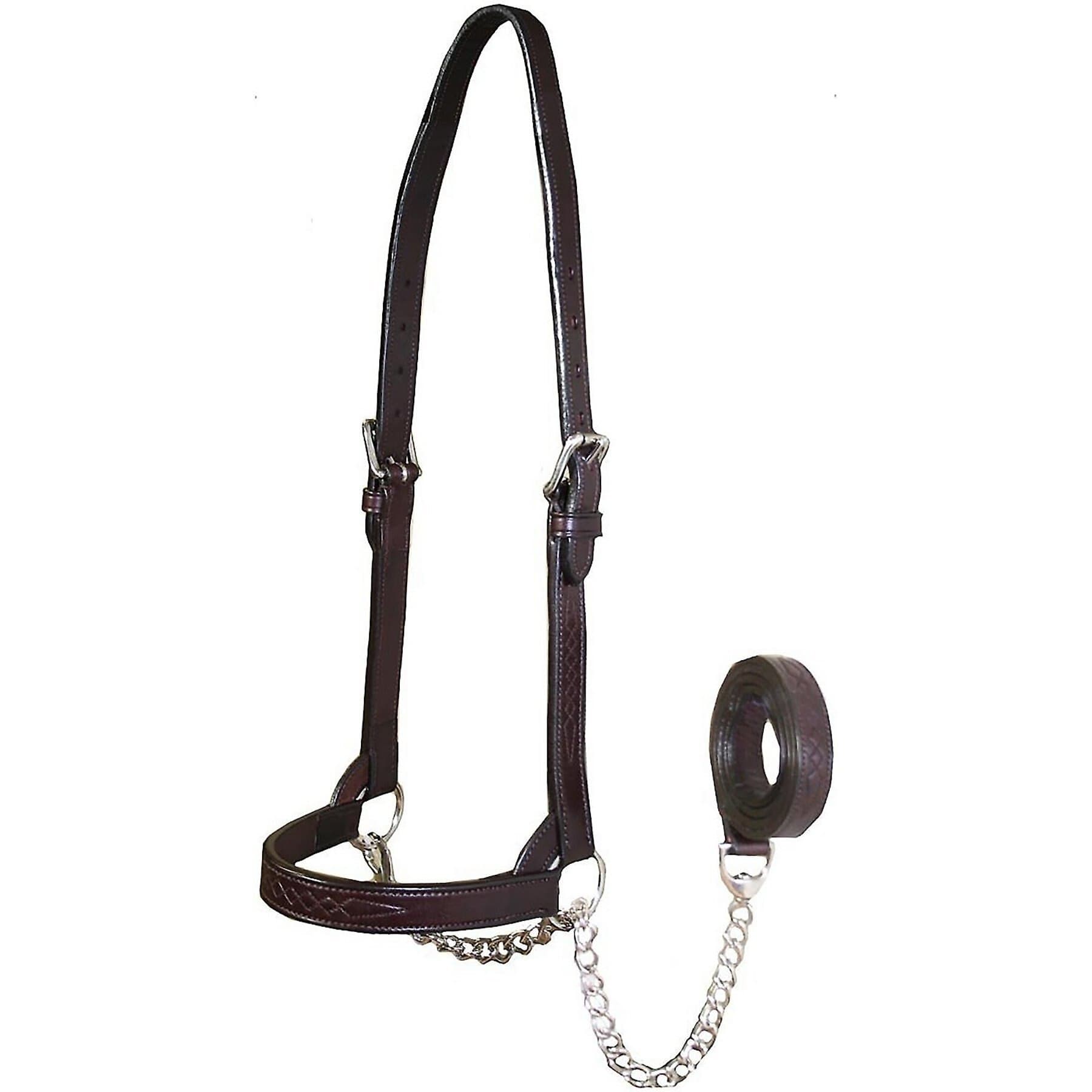 Derby Originals Premium Flat Fancy Stitch Leather Cattle Show Halter & Chain Lead, Havana, Medium — view 3