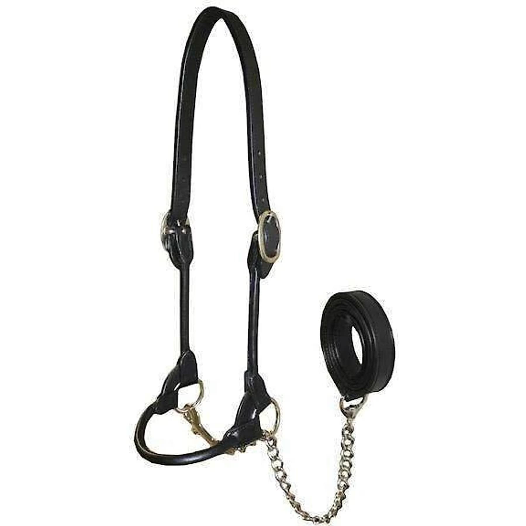 Derby Originals Premium Round Rolled Leather Cattle Show Halter & Chain Lead, Black, Medium (Heifer) — view 2
