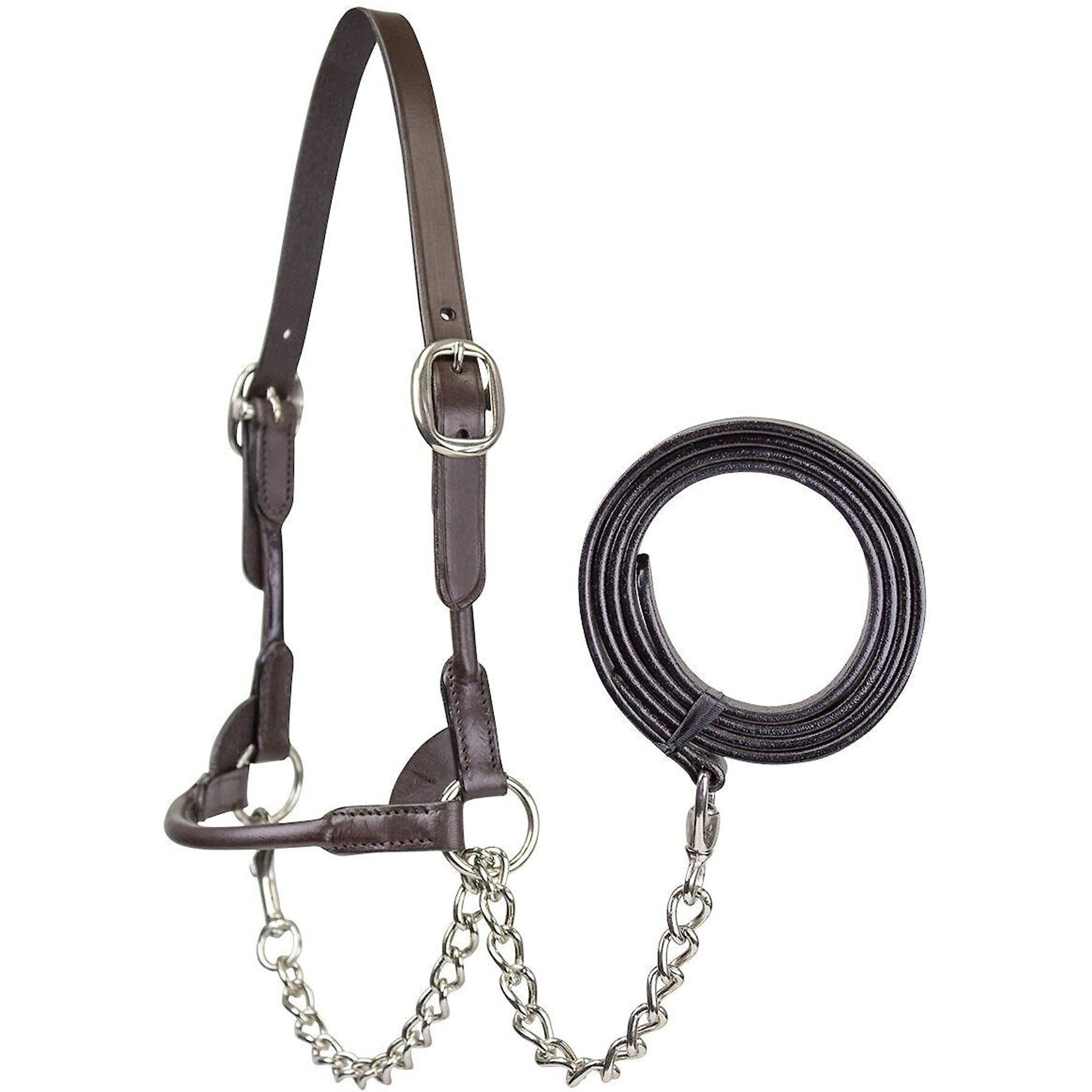 Derby Originals Premium Round Rolled Leather Cattle Show Halter & Chain Lead, Havana, Medium (Heifer) — view 2