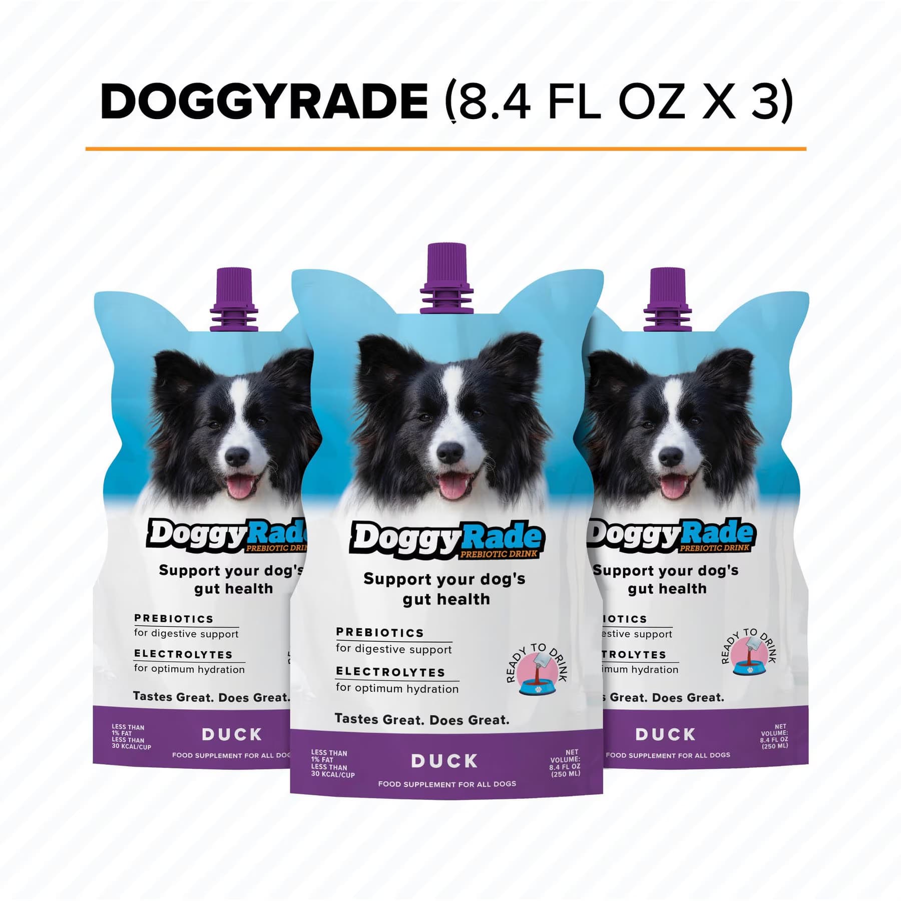 DoggyRade DoggyRade Prebiotic Drink Duck Flavored Liquid Digestive Supplement for Dogs, 250-mL pouch
