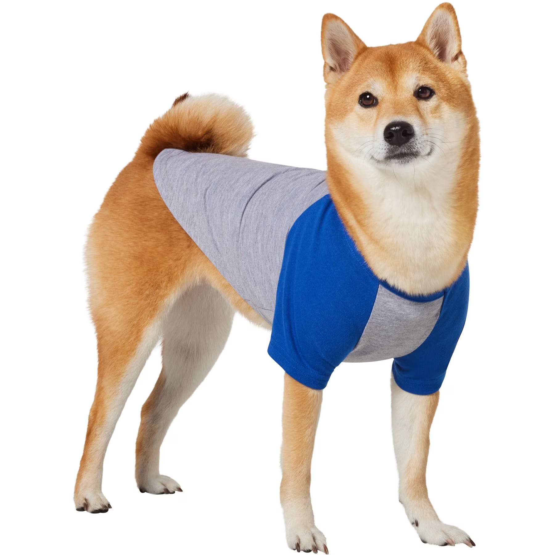 Frisco Baseball Dog & Cat T-Shirt, Blue, XX-Large — view 3
