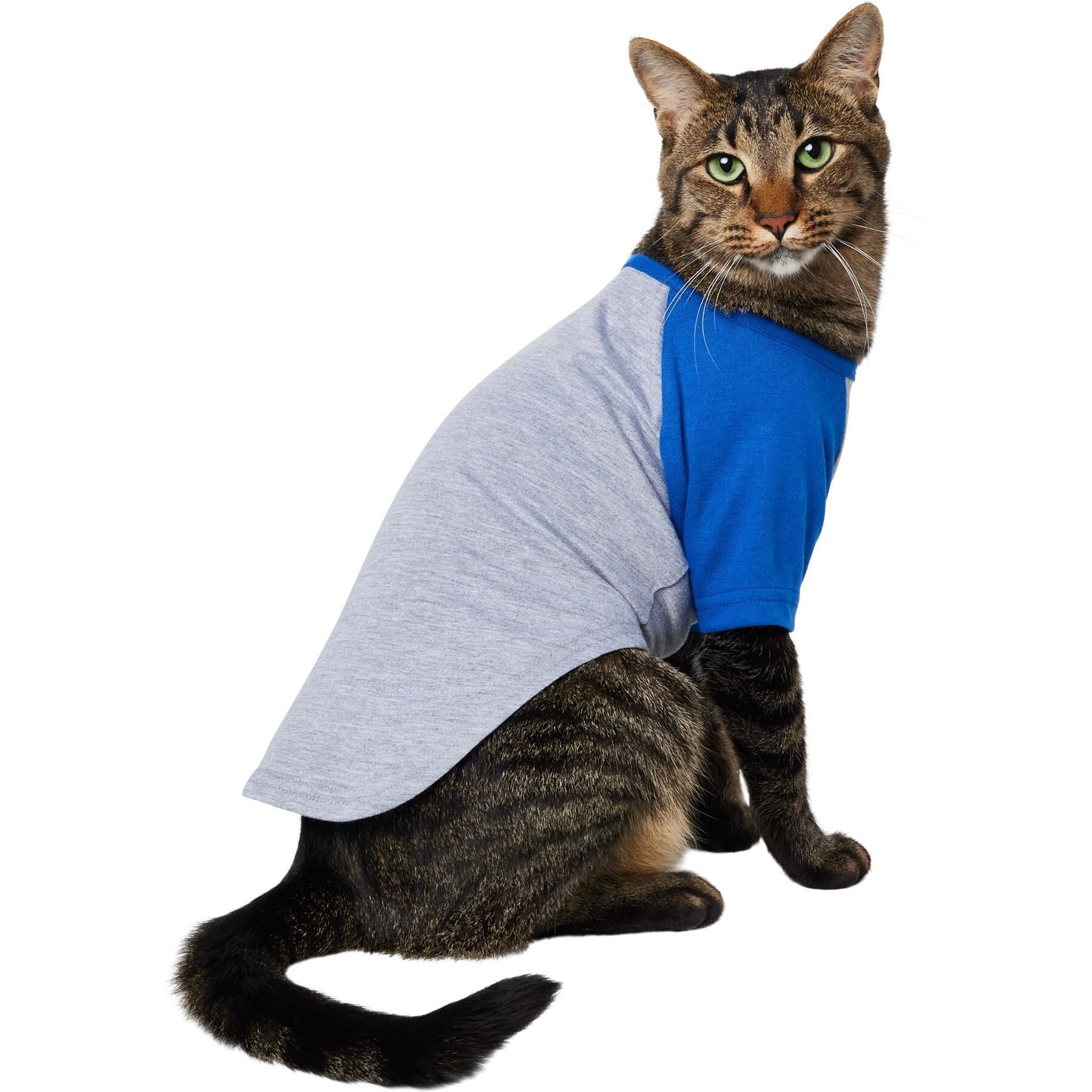 Frisco Frisco Baseball Dog & Cat T-Shirt, Blue, XX-Large