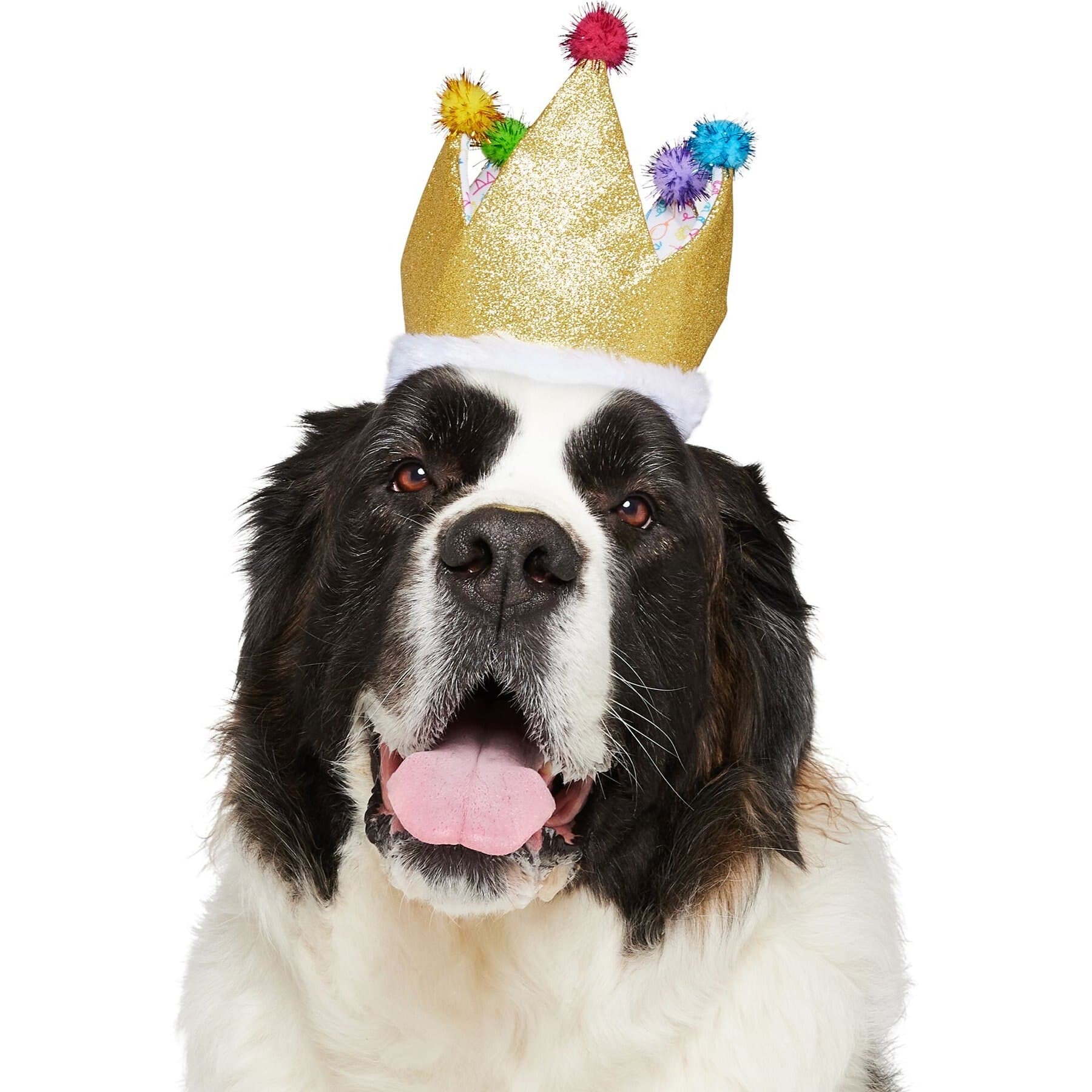 Frisco Birthday Glitter Crown Dog & Cat Hat, X-Small/Small — view 2