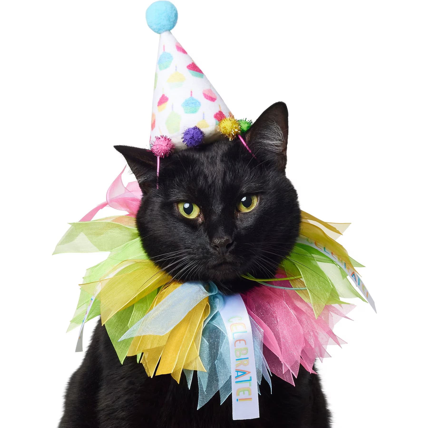 Frisco Frisco Cupcake Party Hat & Ruffle Collar Cat Birthday Accessory, One Size