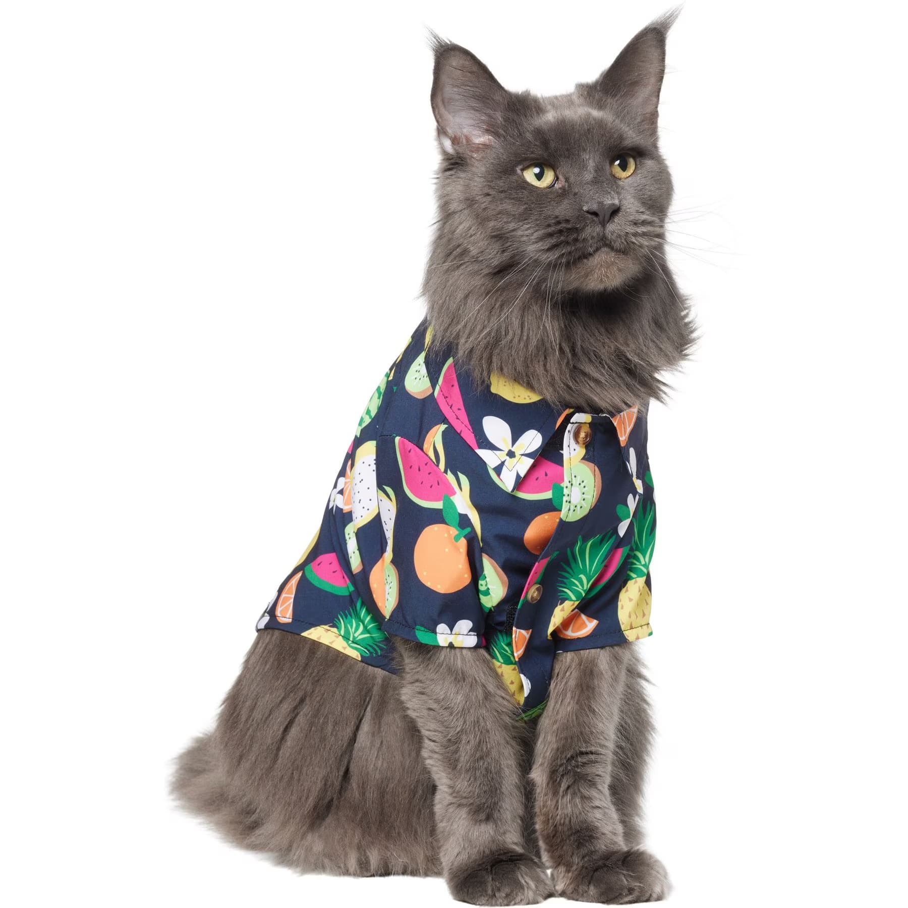 Frisco Fruit Punch Camp Dog & Cat Shirt, Black, XX-Large — view 3