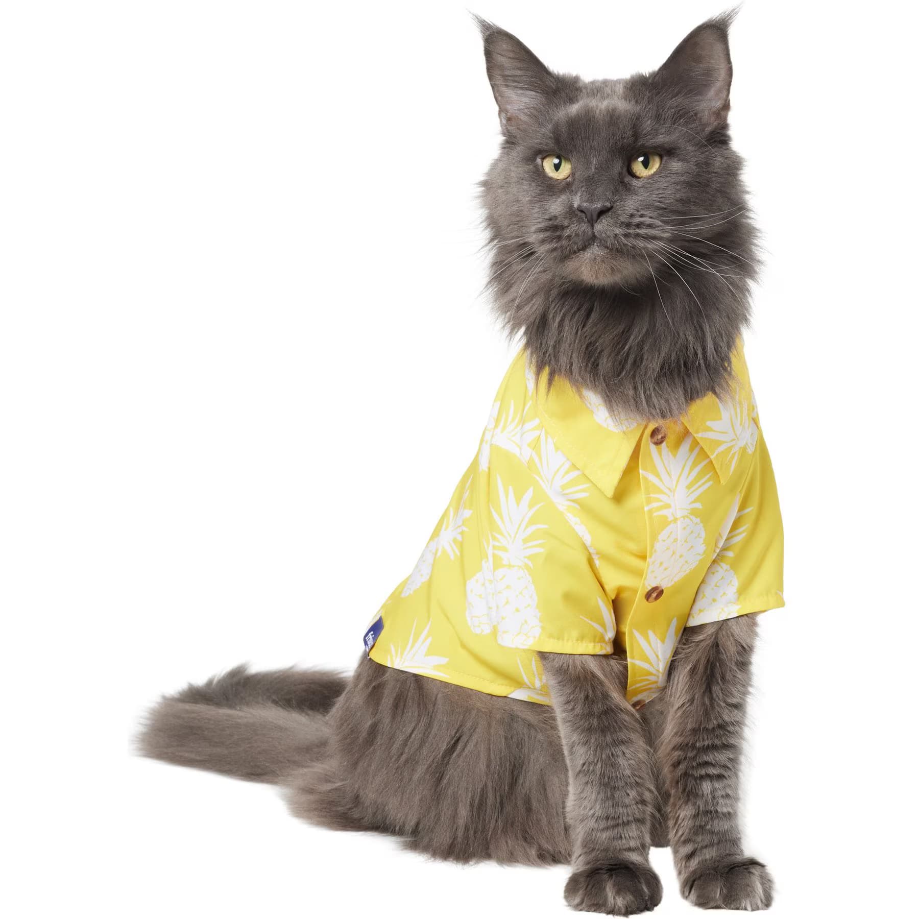 Frisco Pineapple Camp Dog & Cat Shirt, Yellow, XX-Large — view 3