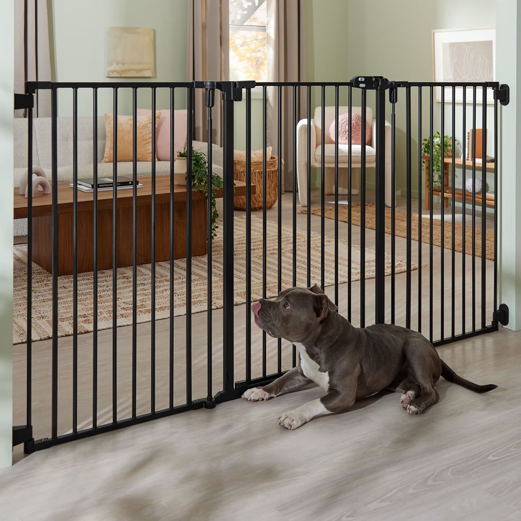 Frisco Frisco Steel 3-Panel Configurable Gate, 41-in Height, Black