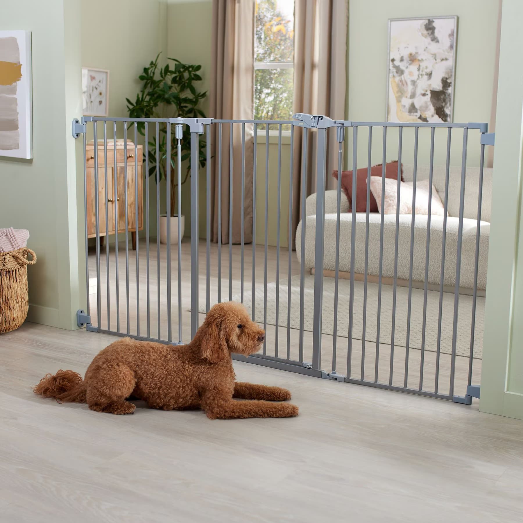 Frisco Frisco Steel 3-Panel Configurable Gate, 41-in Height, Gray