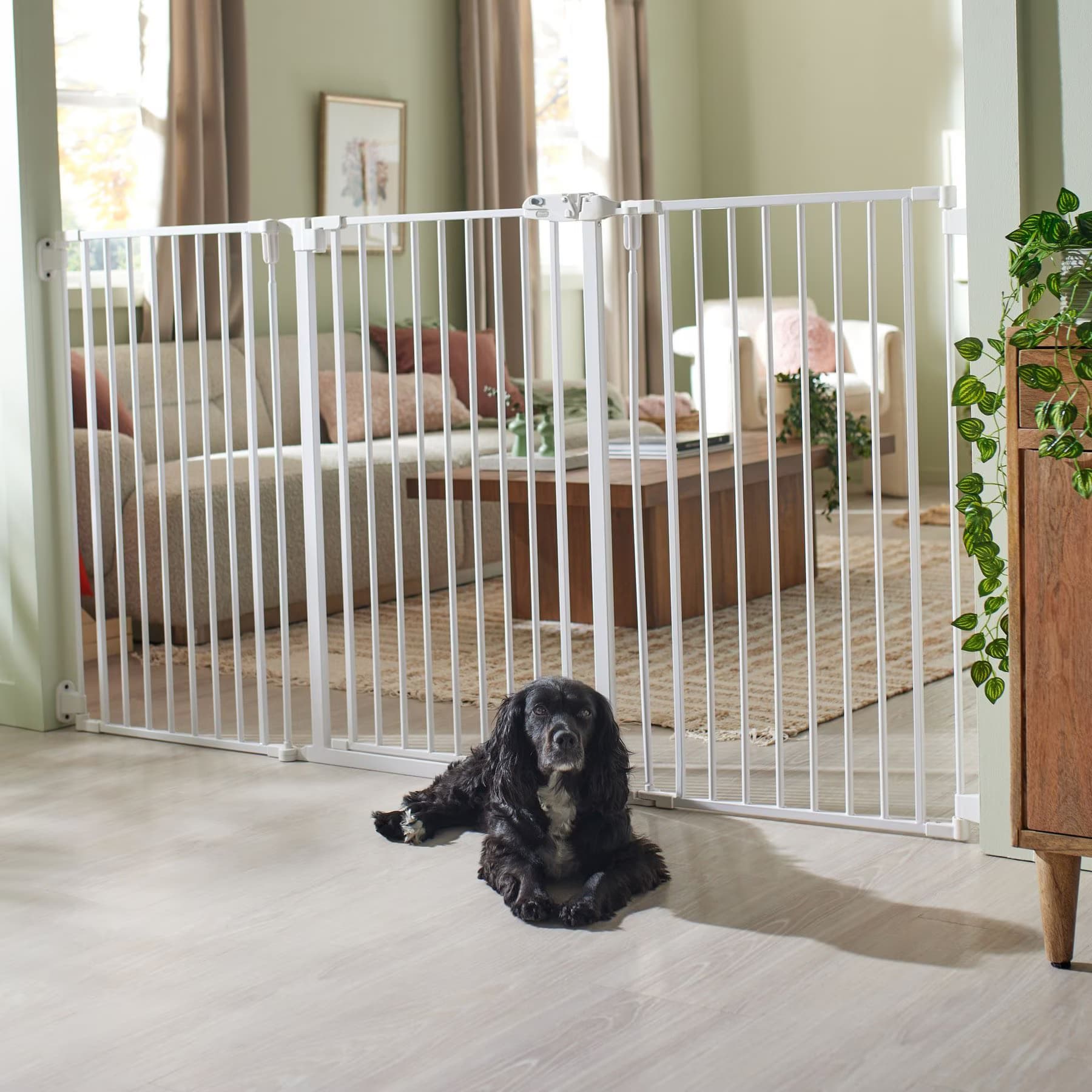 Frisco Frisco Steel 3-Panel Configurable Gate, 41-in Height, White