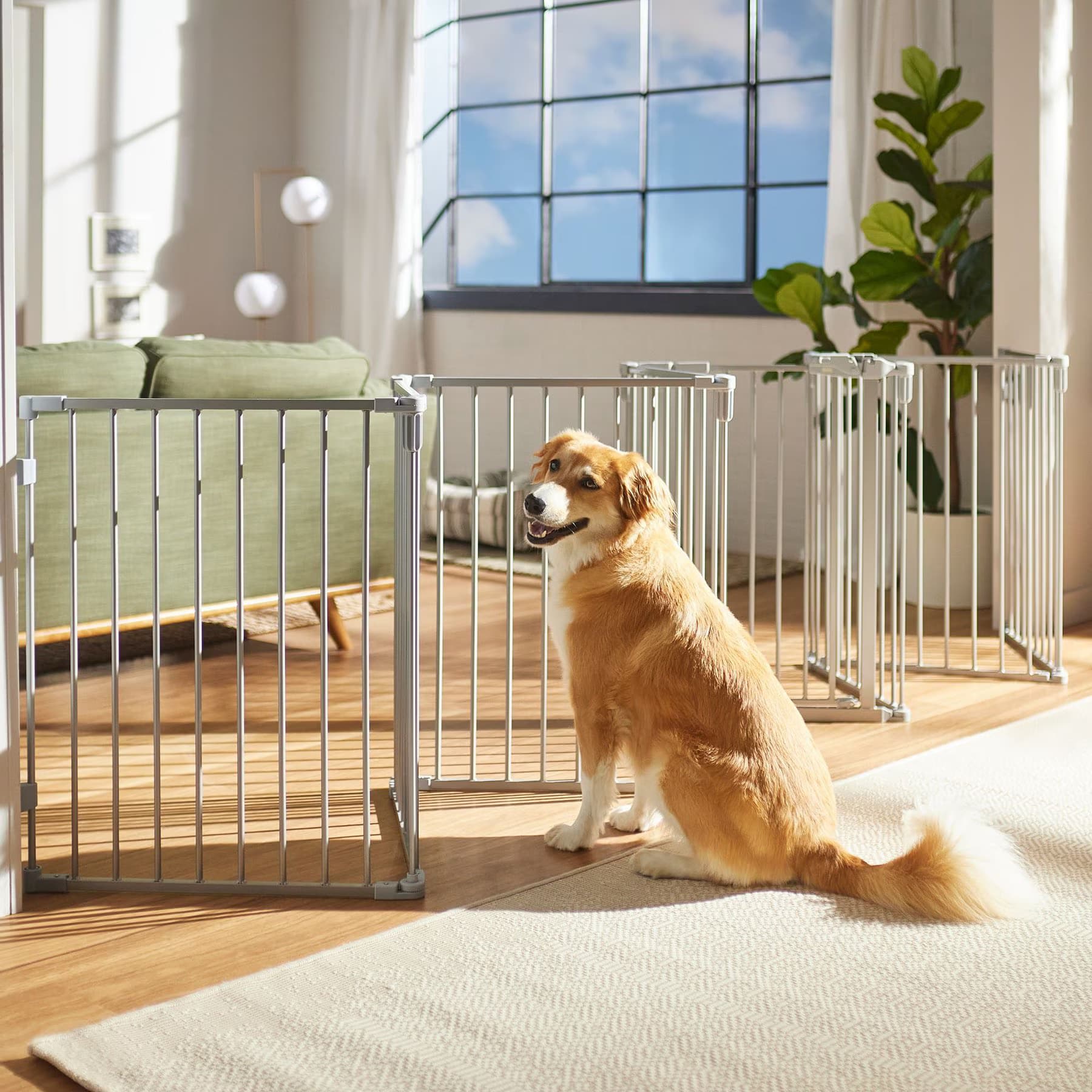 Frisco Frisco Steel 8-Panel Configurable Dog Gate and Playpen, 30-in, Grey