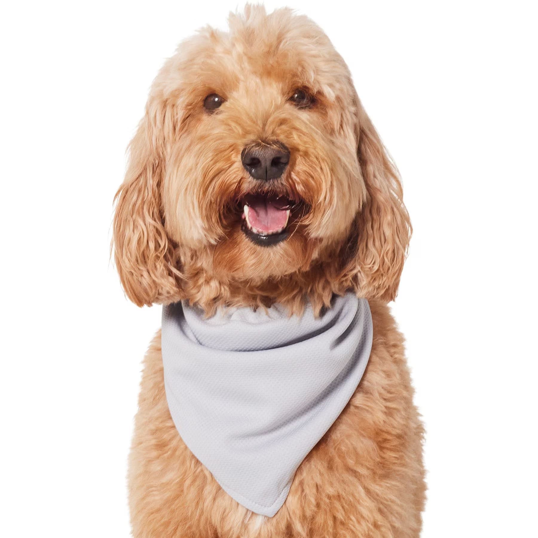 Frisco Frisco Summer Cooling Pullover Dog Gaitor, Gray, X-Small/Small