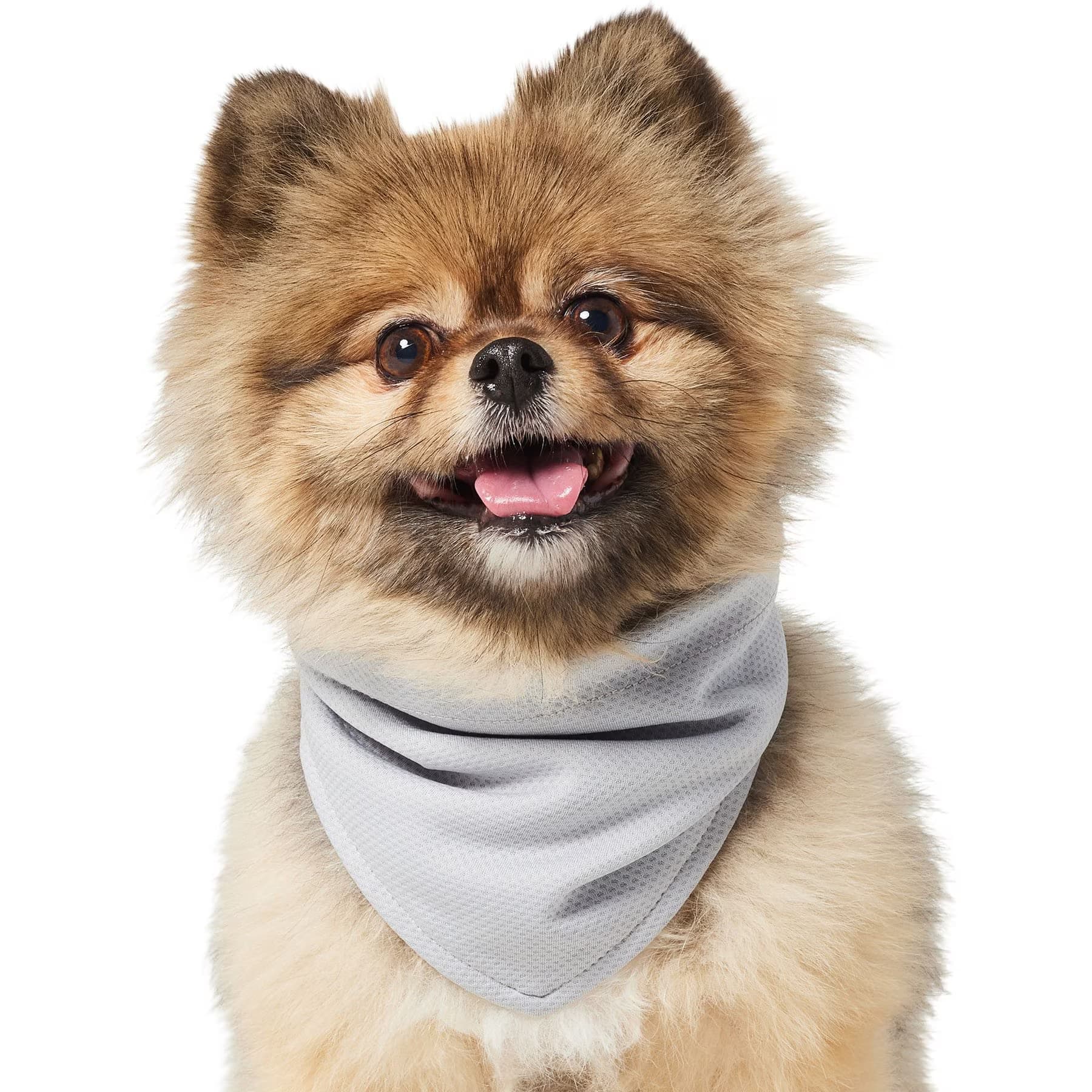 Frisco Summer Cooling Pullover Dog Gaitor, Gray, X-Small/Small — view 2