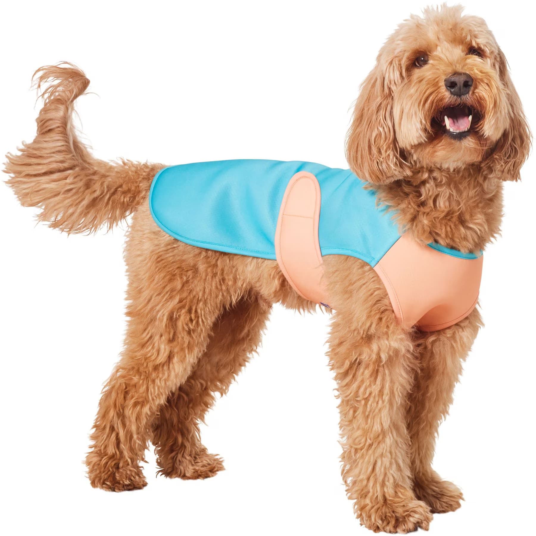Frisco Frisco Summer UPF 45 Cooling Dog Vest, Teal, XXX-Large