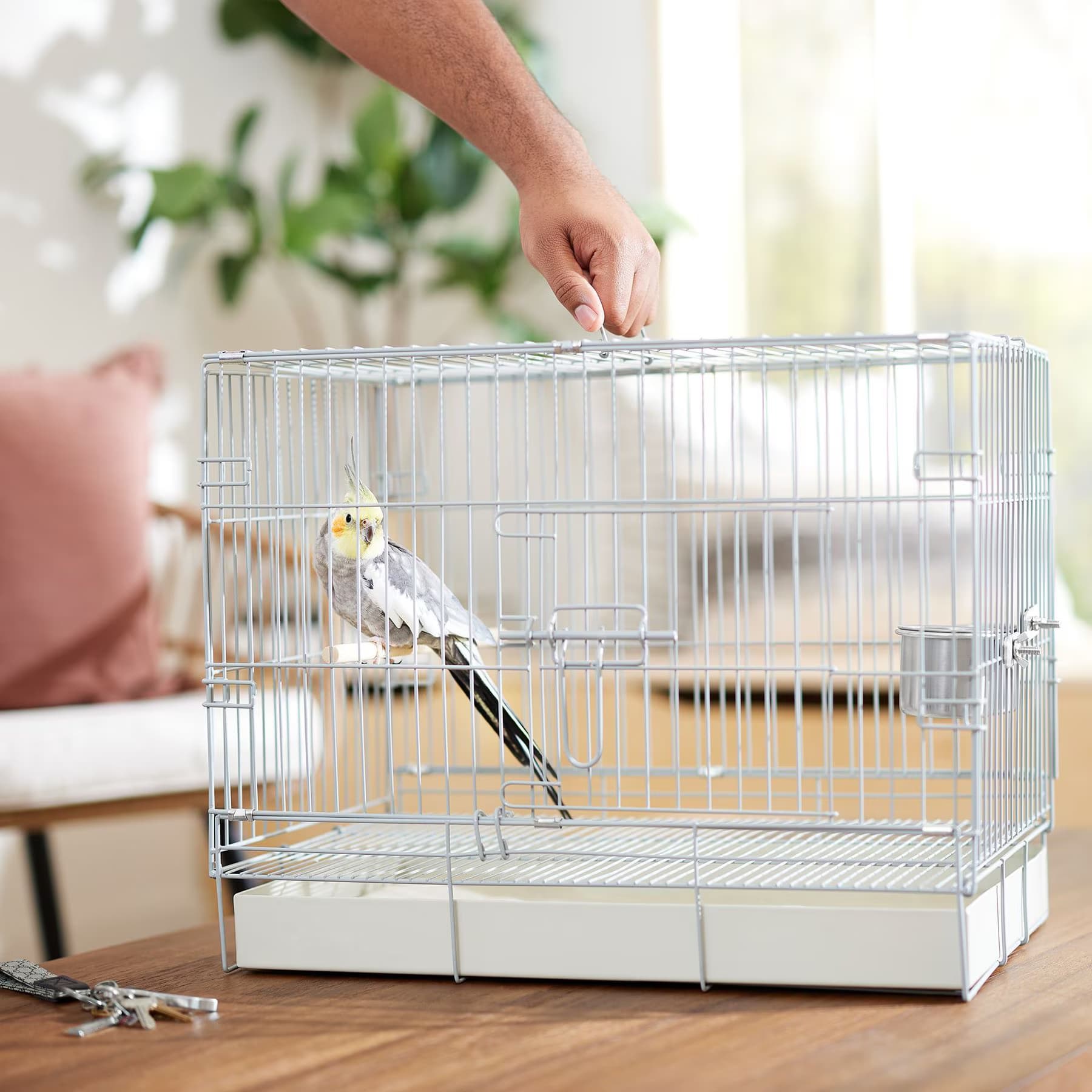 Frisco Frisco Travel Bird Cage