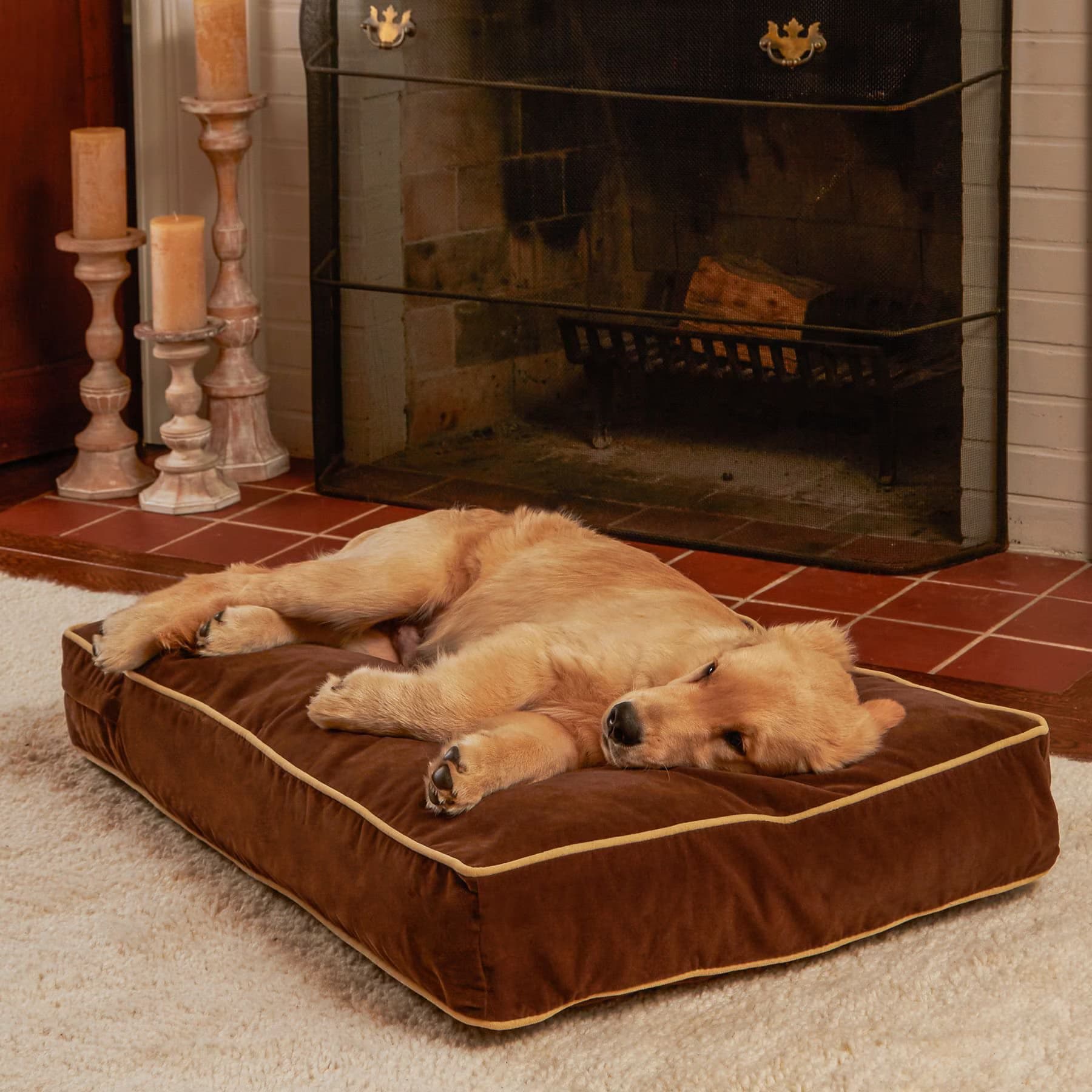 Happy Hounds Happy Hounds Bailey Rectangle Pillow Dog Bed with Removable Cover, Cocoa, X-Small